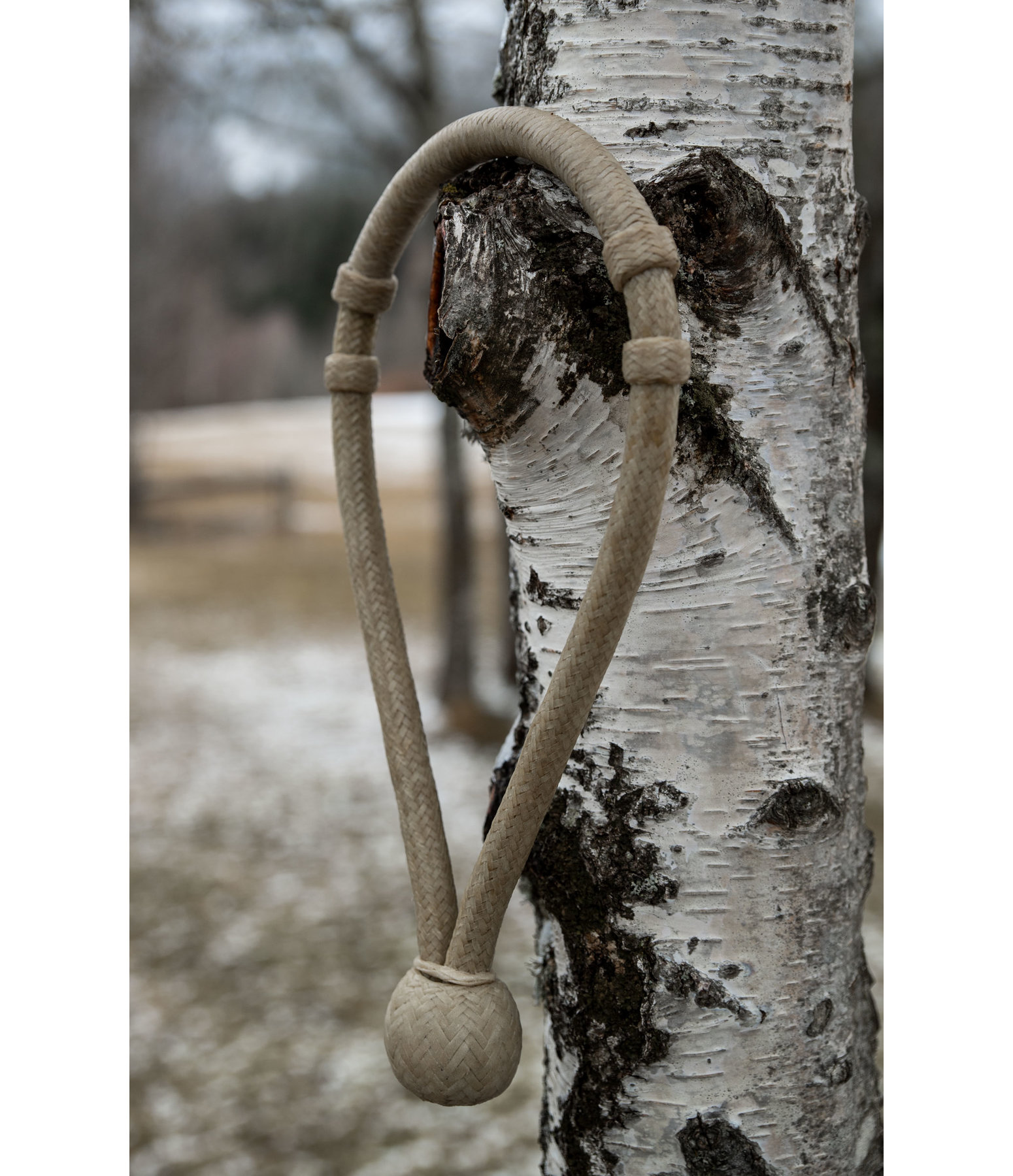 Bosal Rawhide