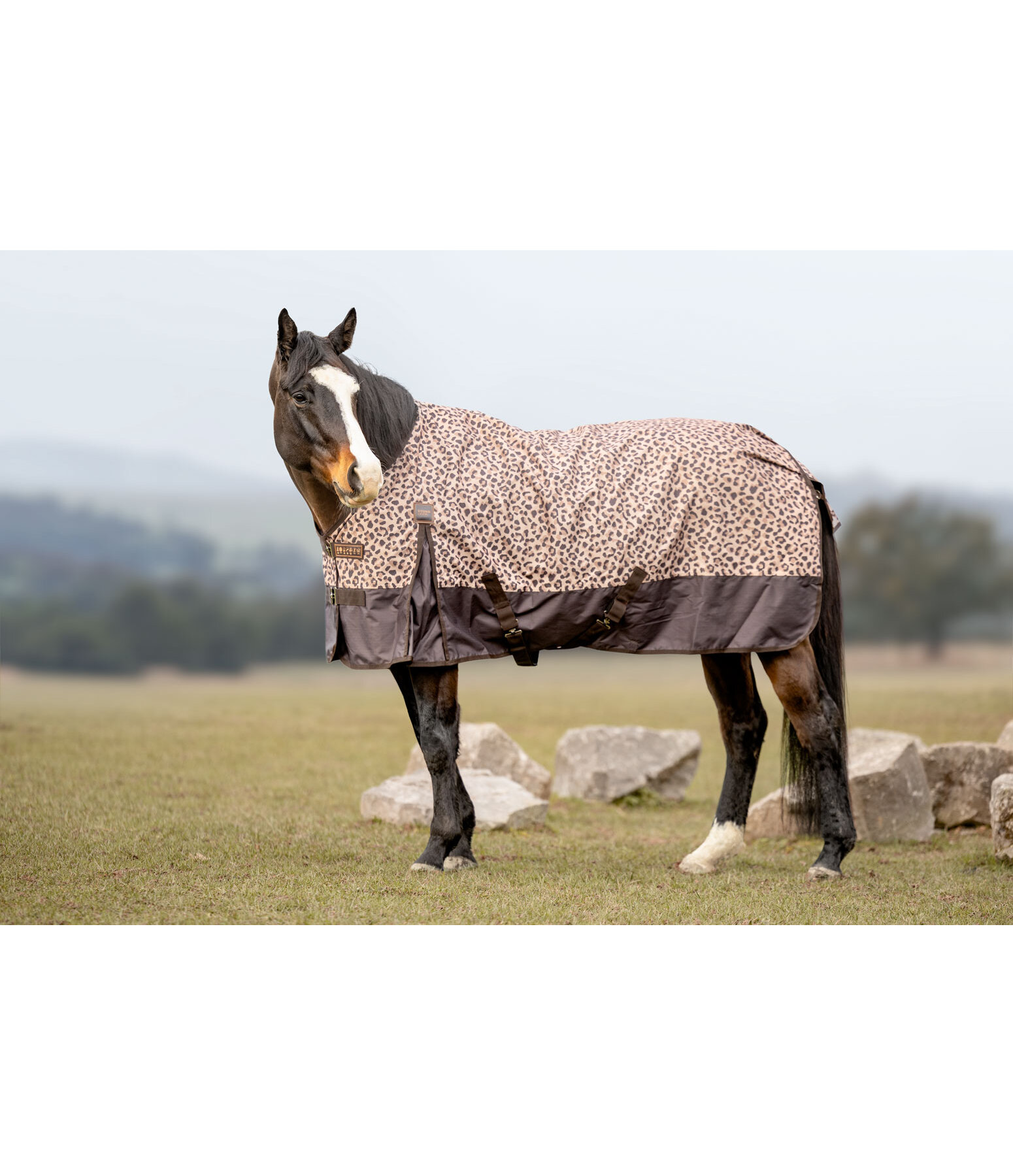 Regendecke Billy