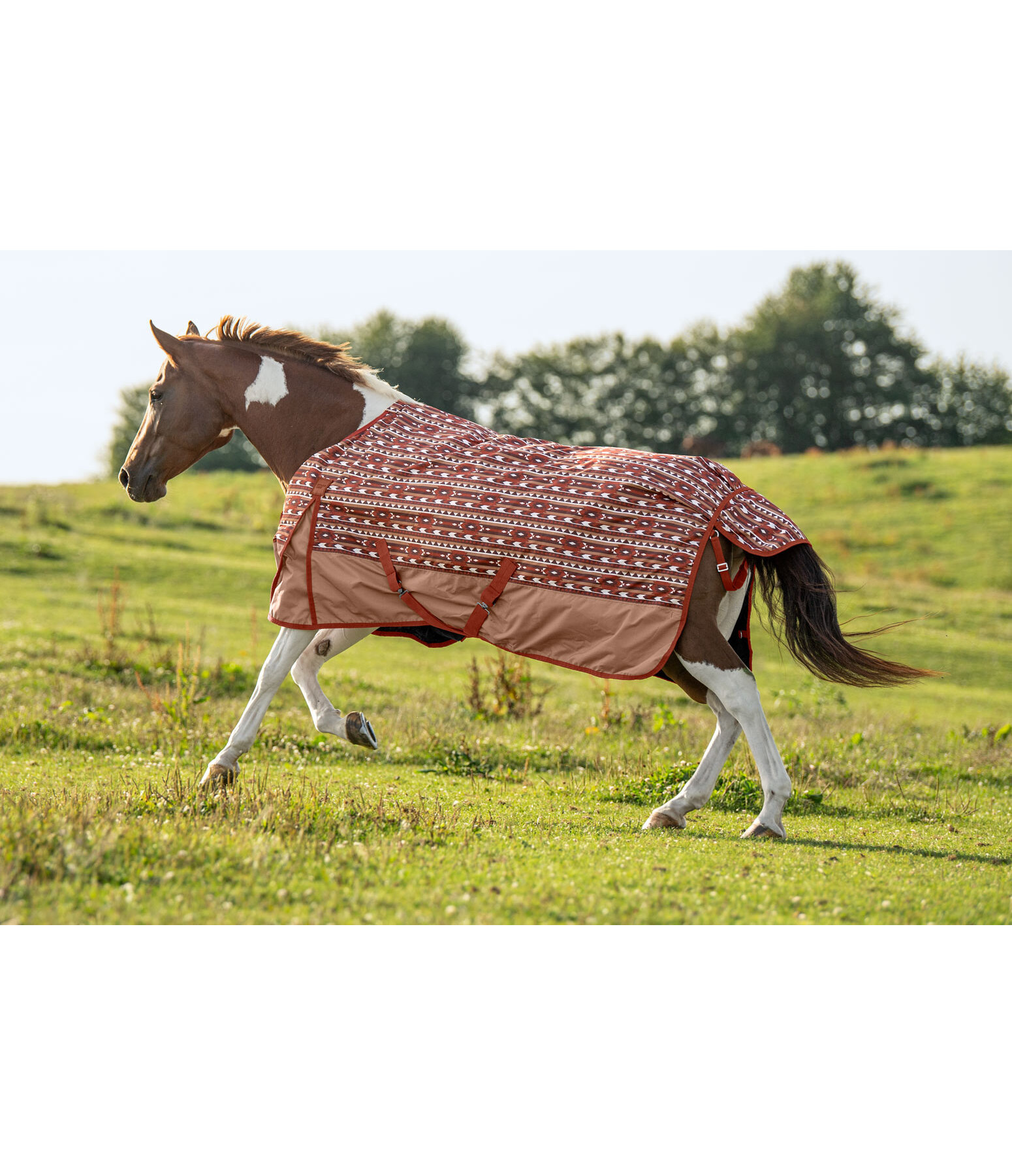 Regendecke Billy