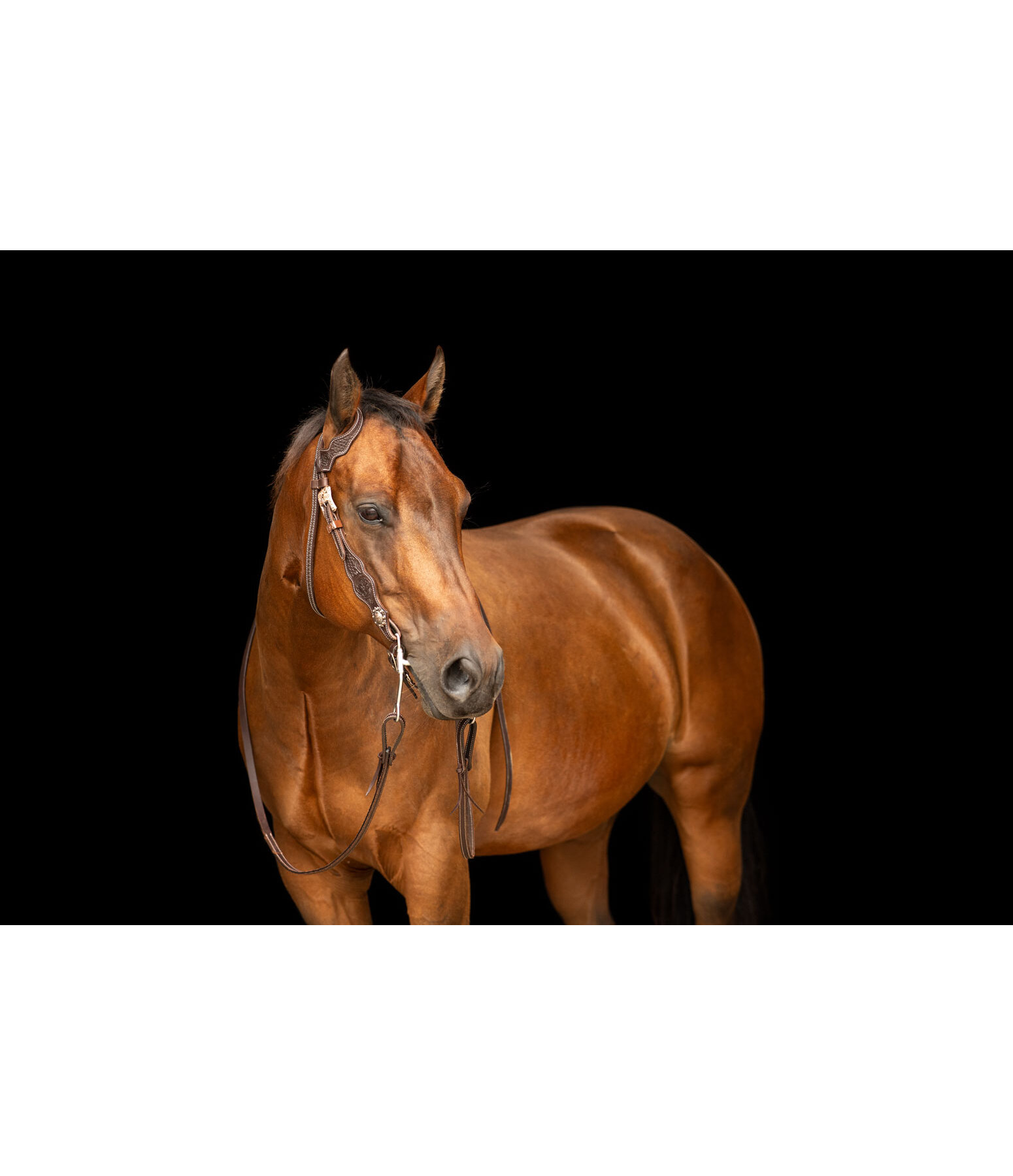 Westernkopfst�ck Copper