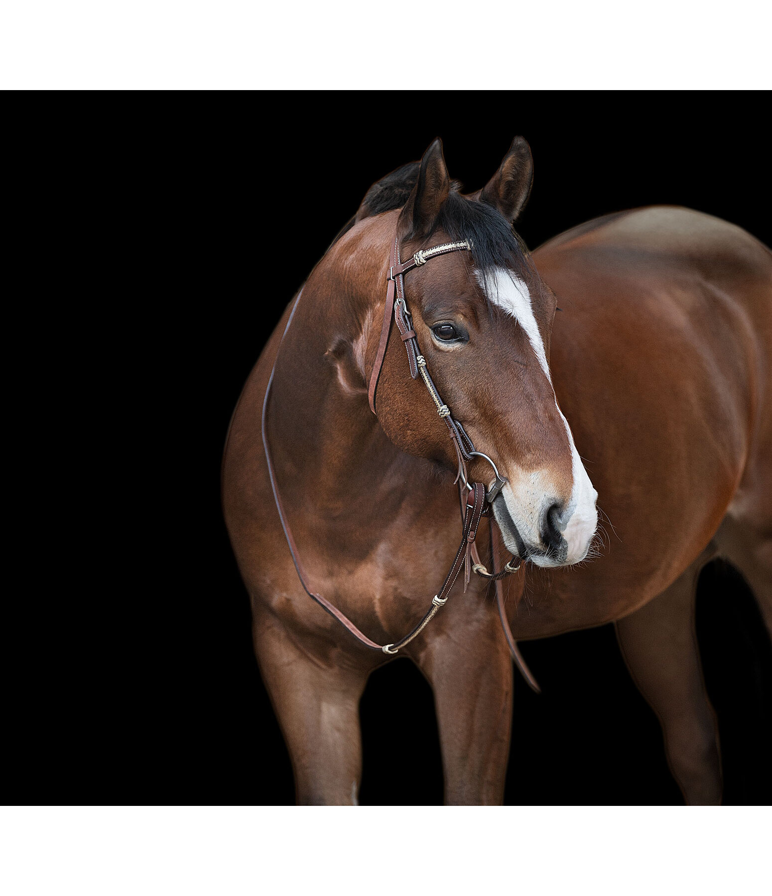 Kopfst�ck Braided Rawhide