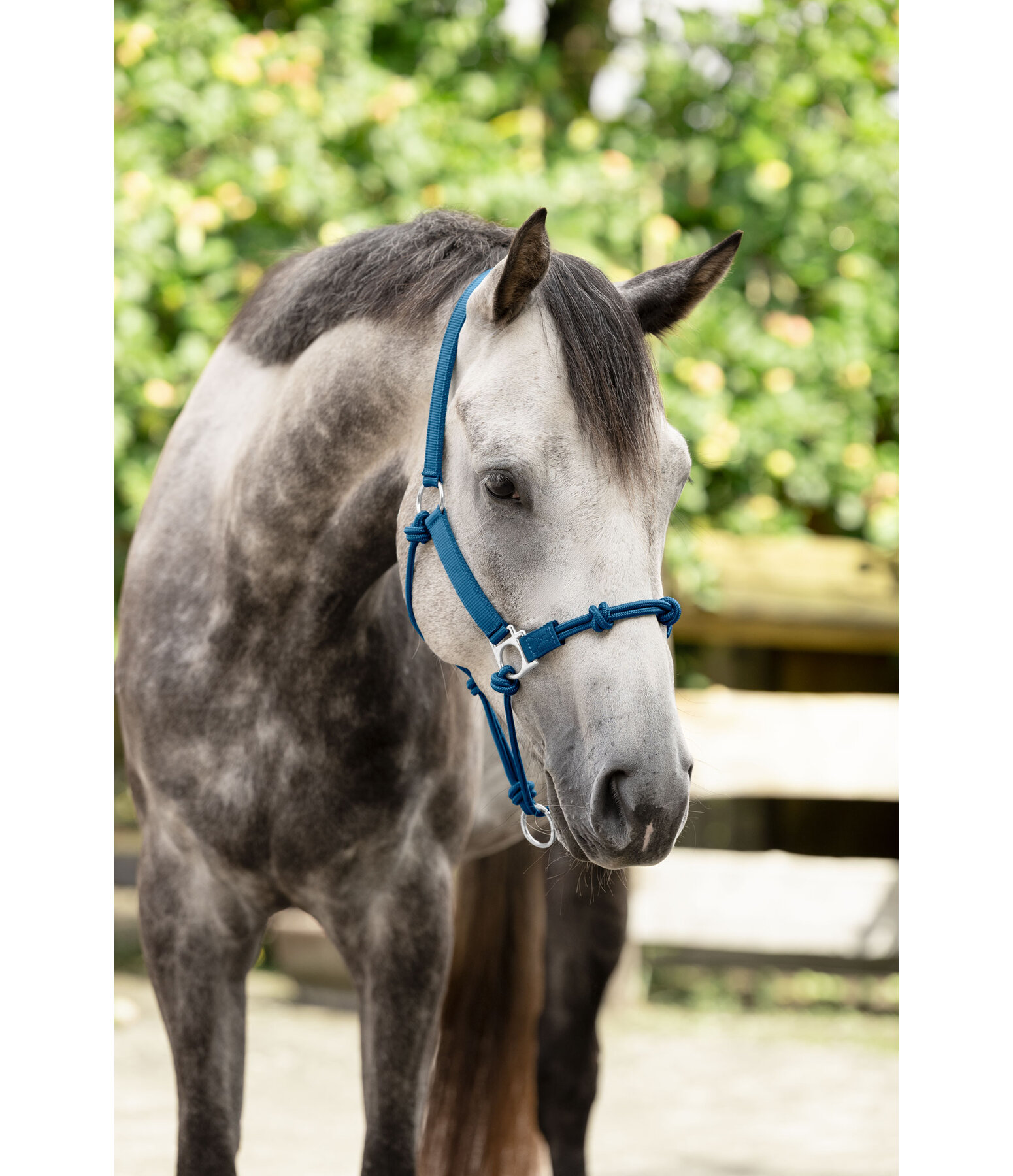 Hybrid Knotenhalfter