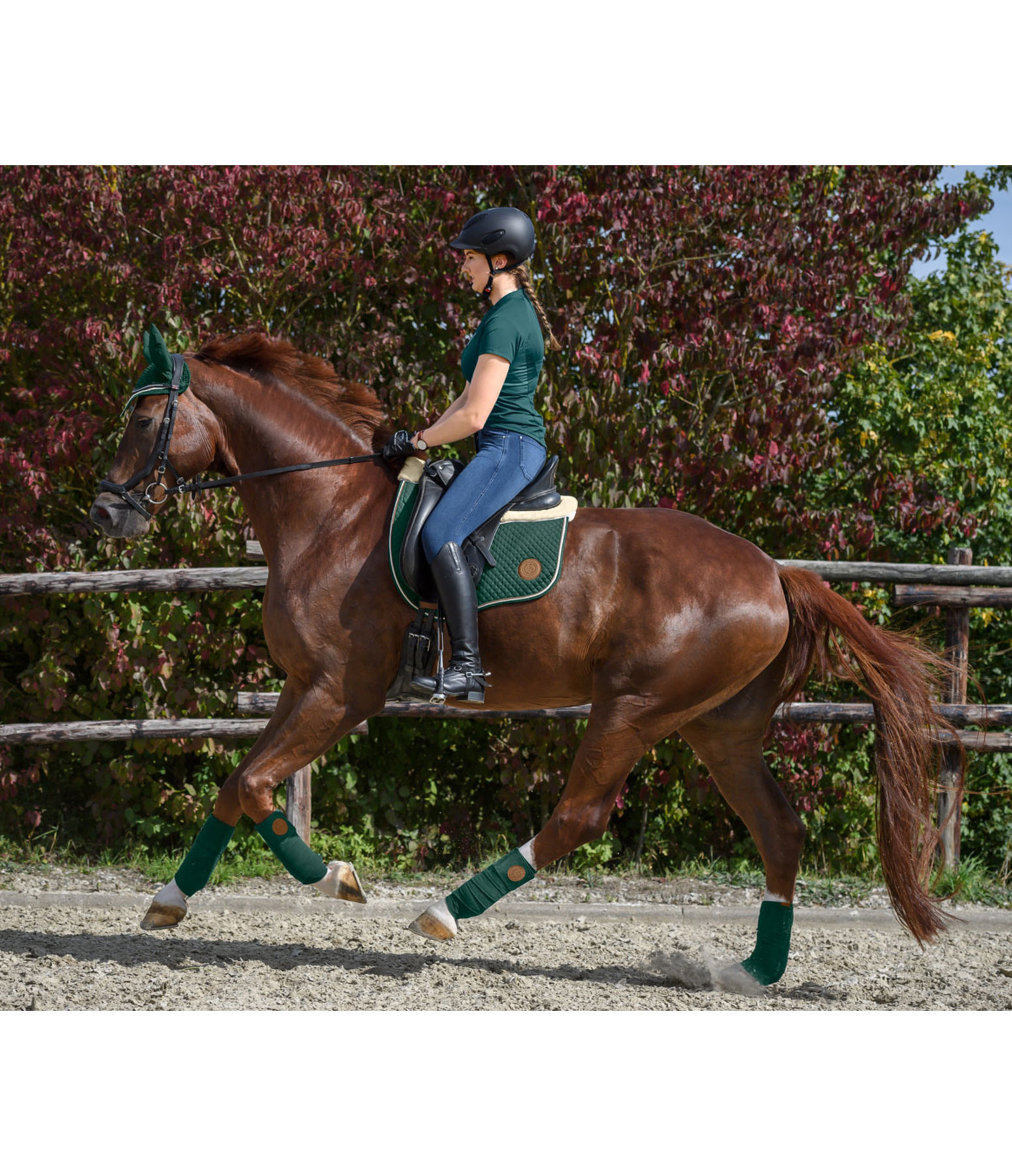 Teddyfleece-Schabracke Timeless Elegance