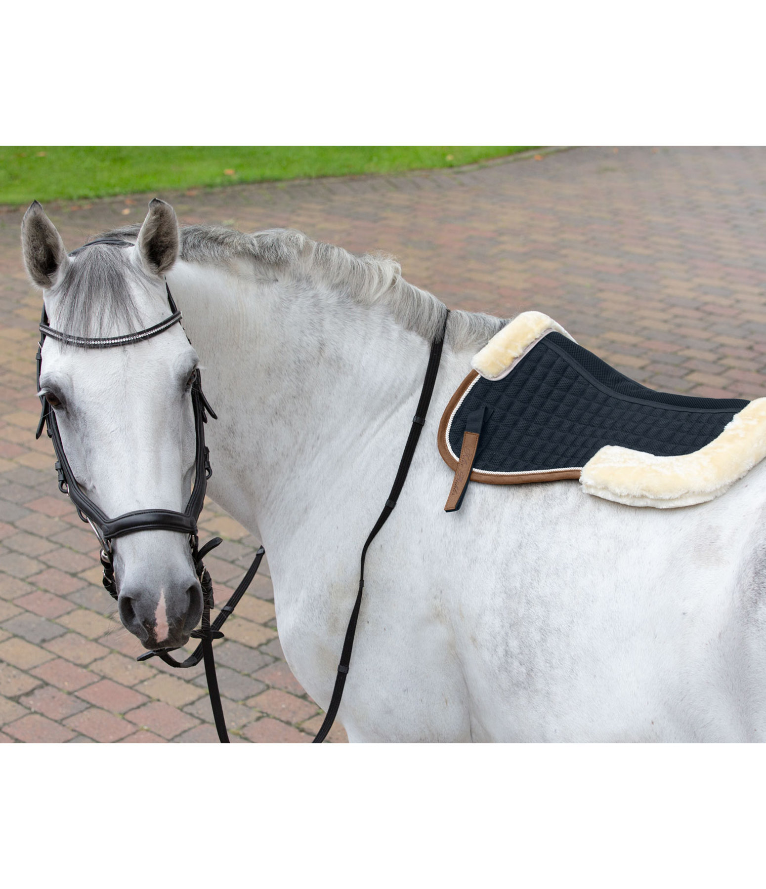 Breathing Mesh Pad Timeless Elegance