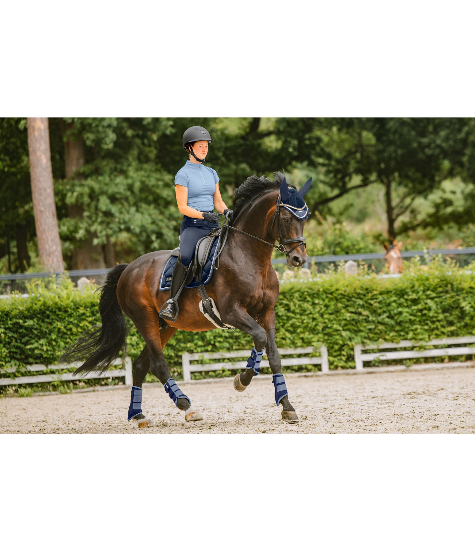 Schabracke Swiss Design