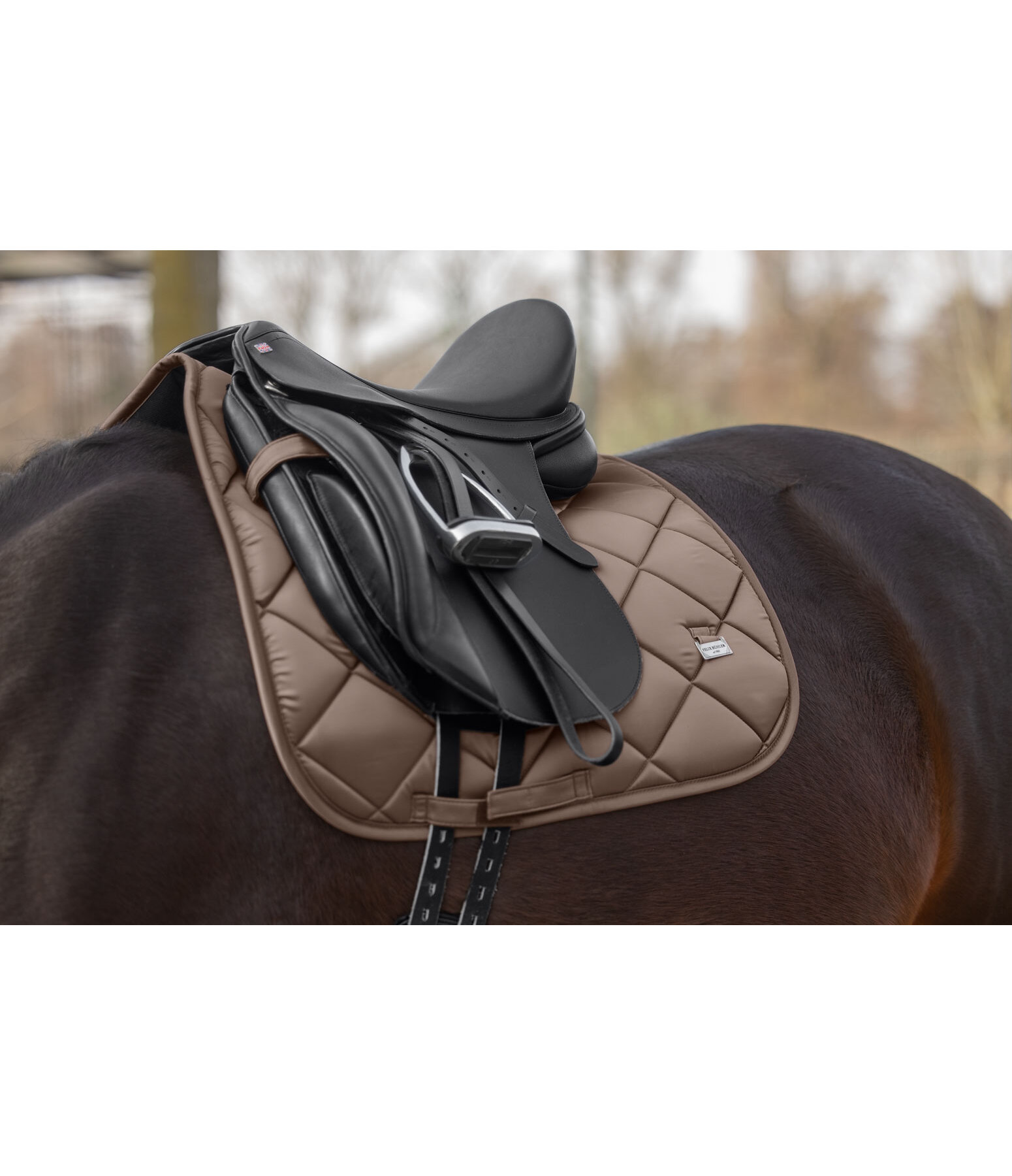 Schabracke Essential Standard