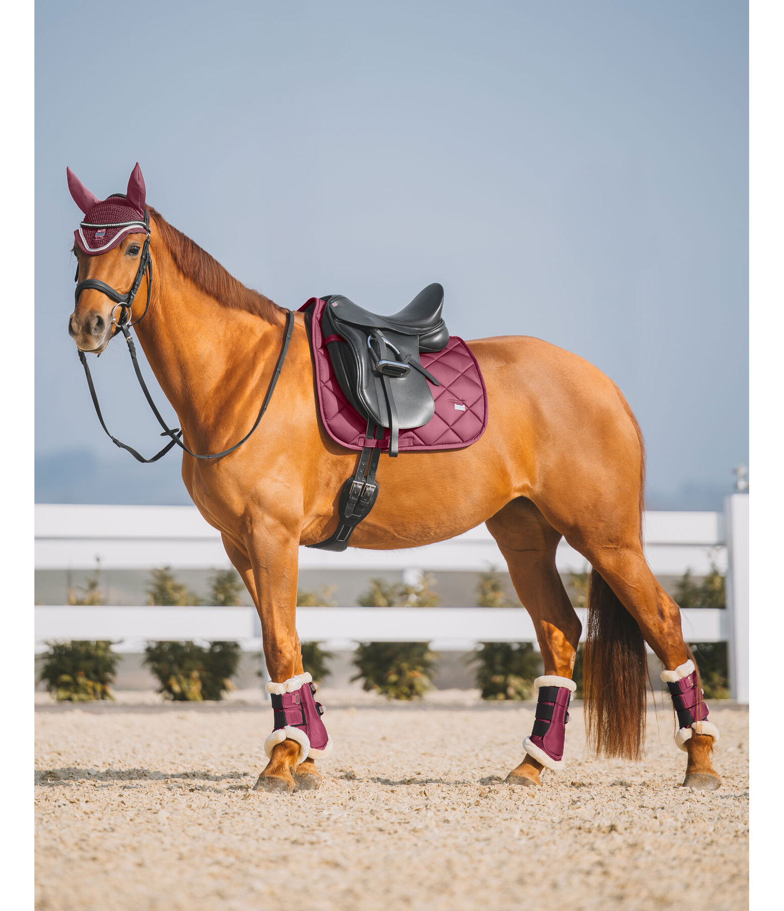 Schabracke Essential Standard
