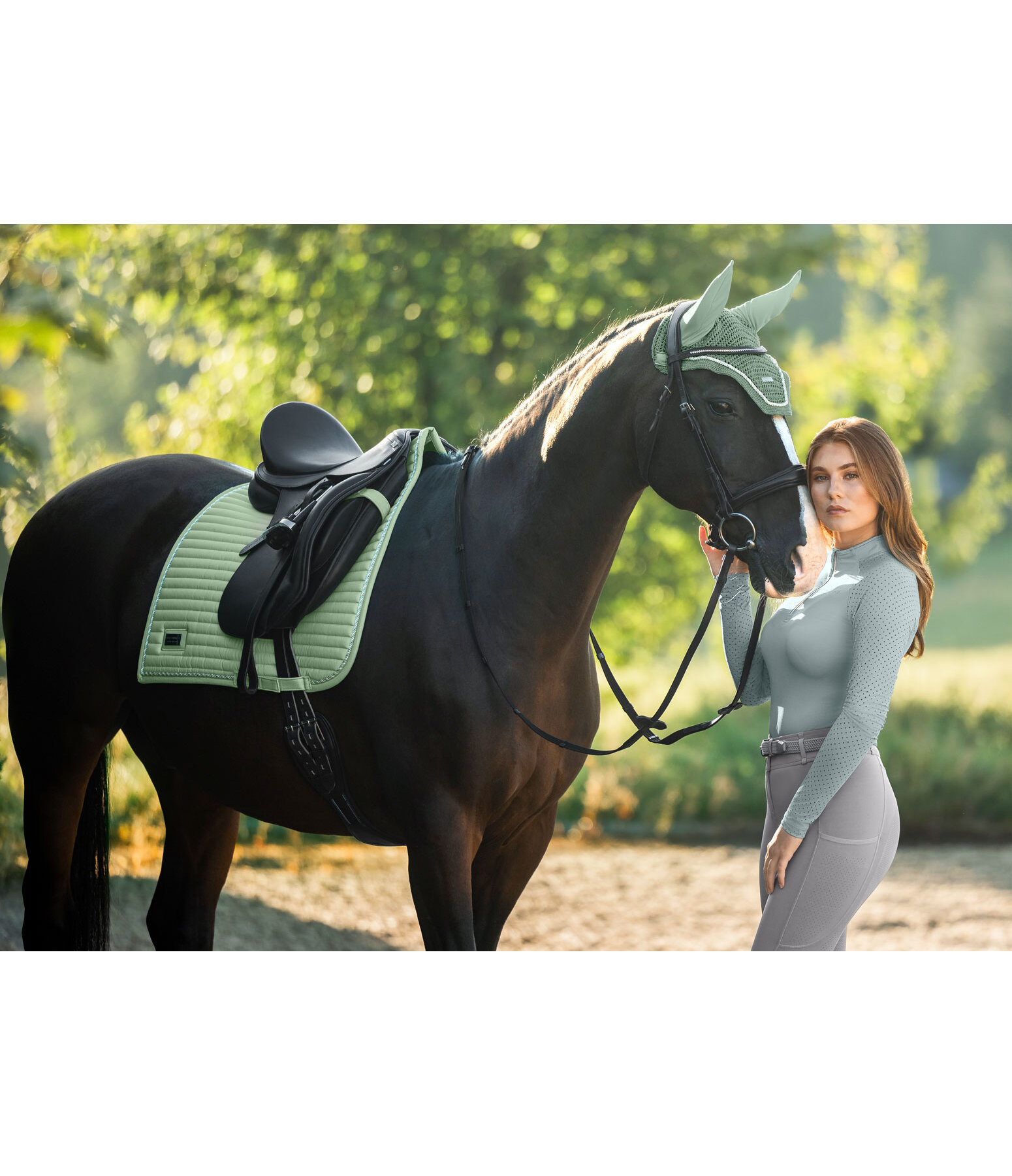 Schabracke Sophistication Regular