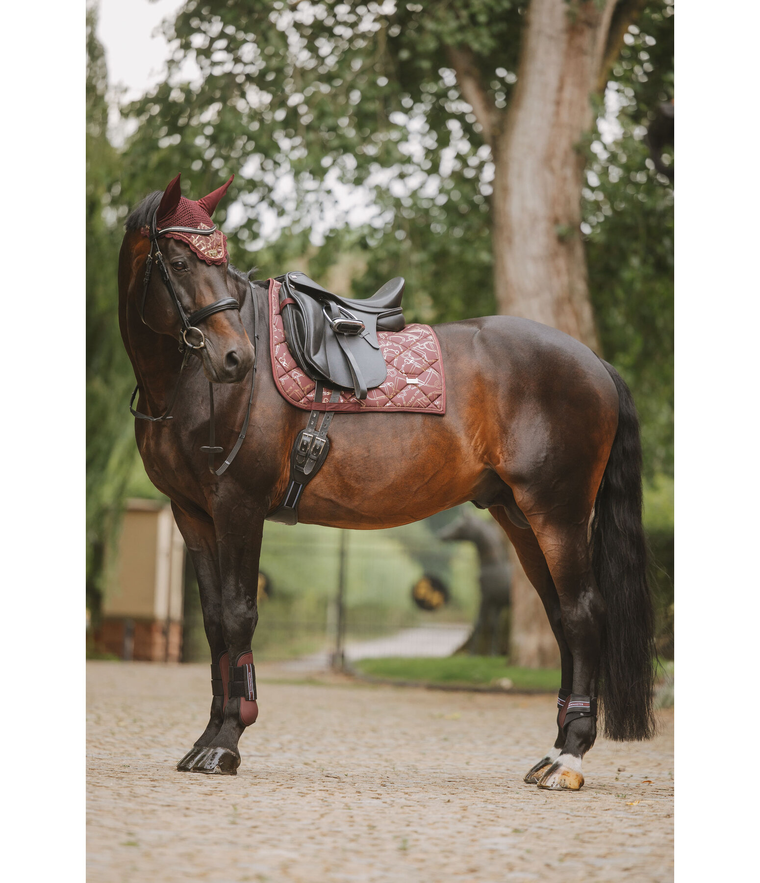 Schabracke Signature III