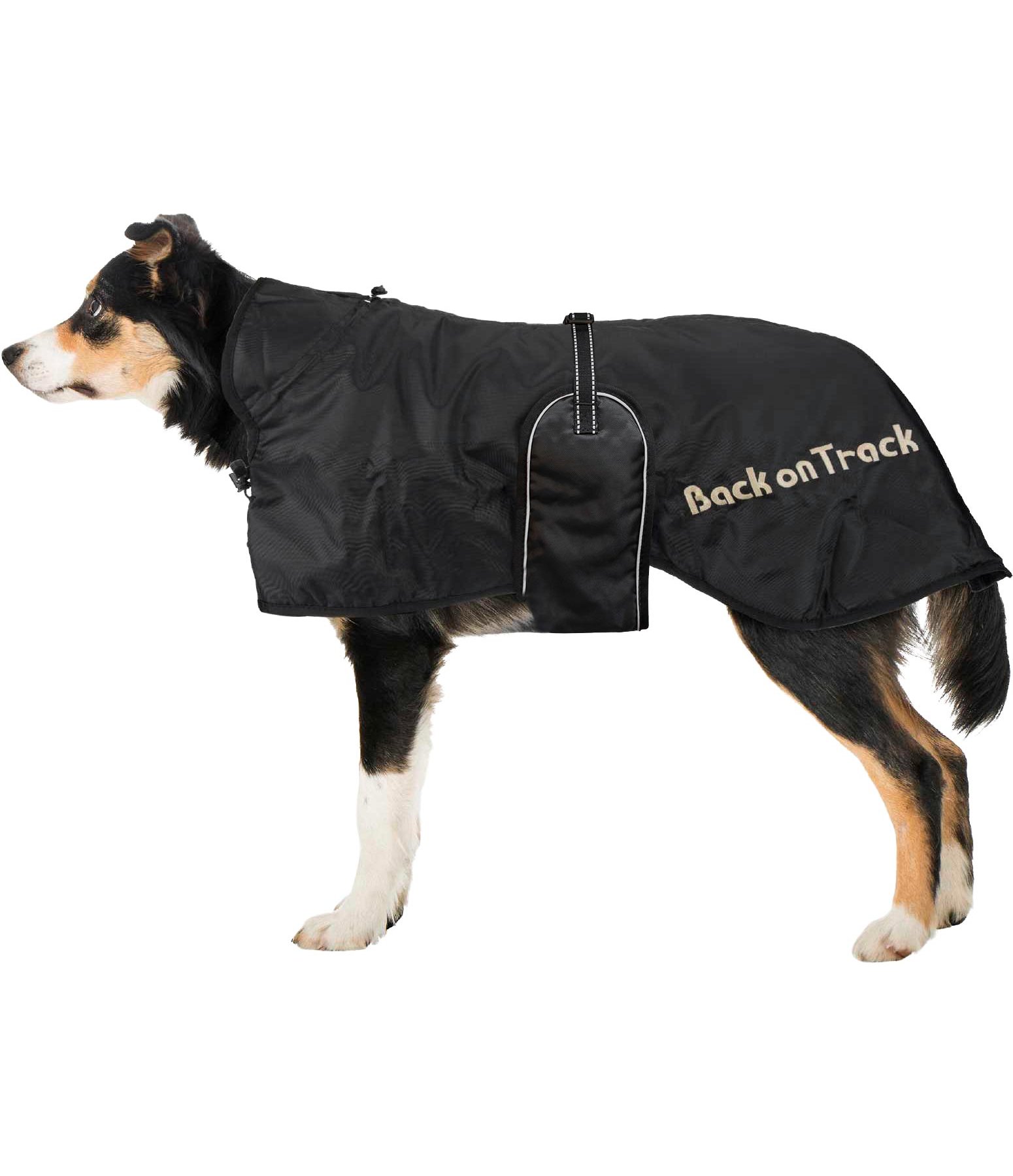 Hunde Standardmantel