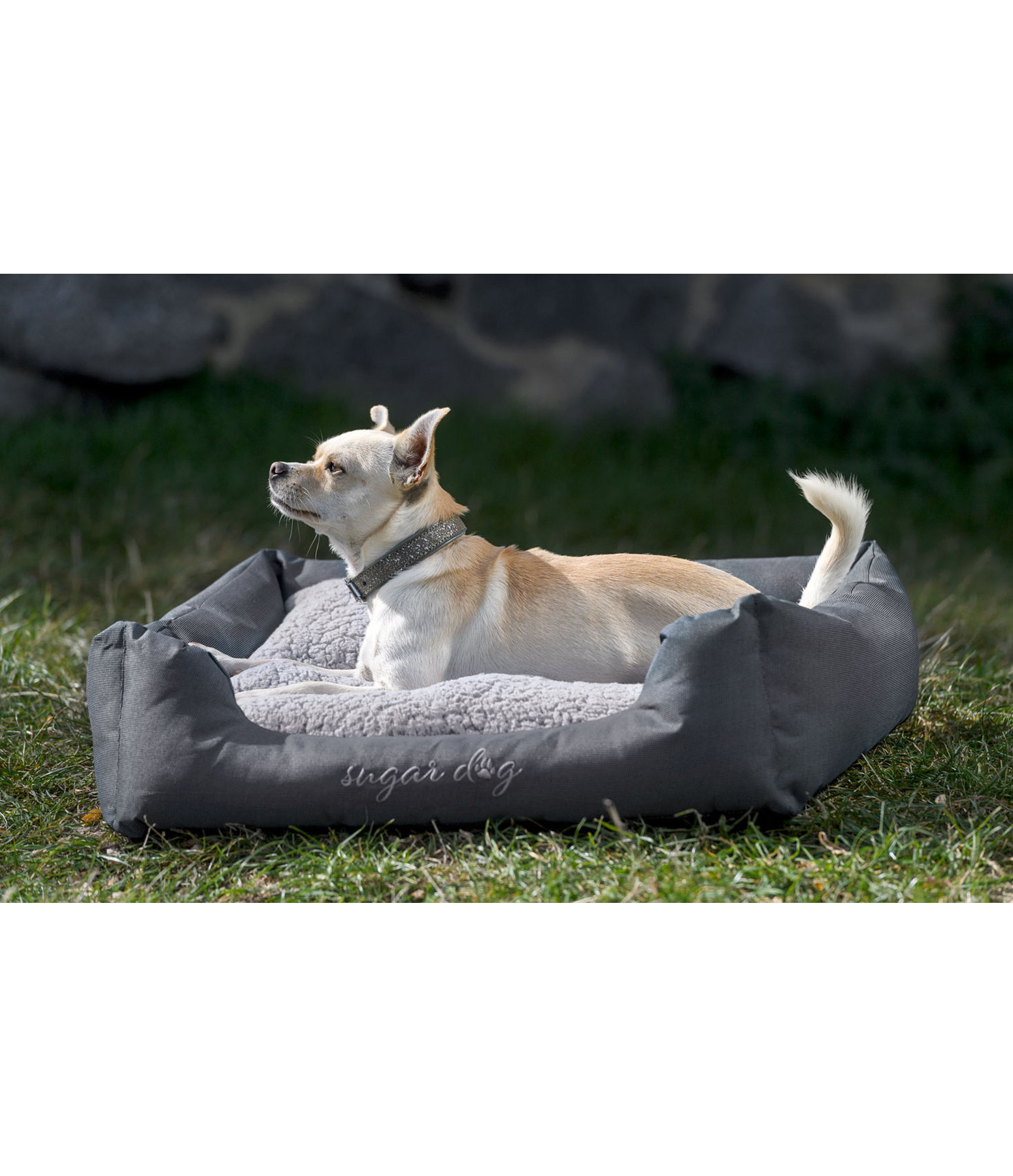 Hundebett Dreamy