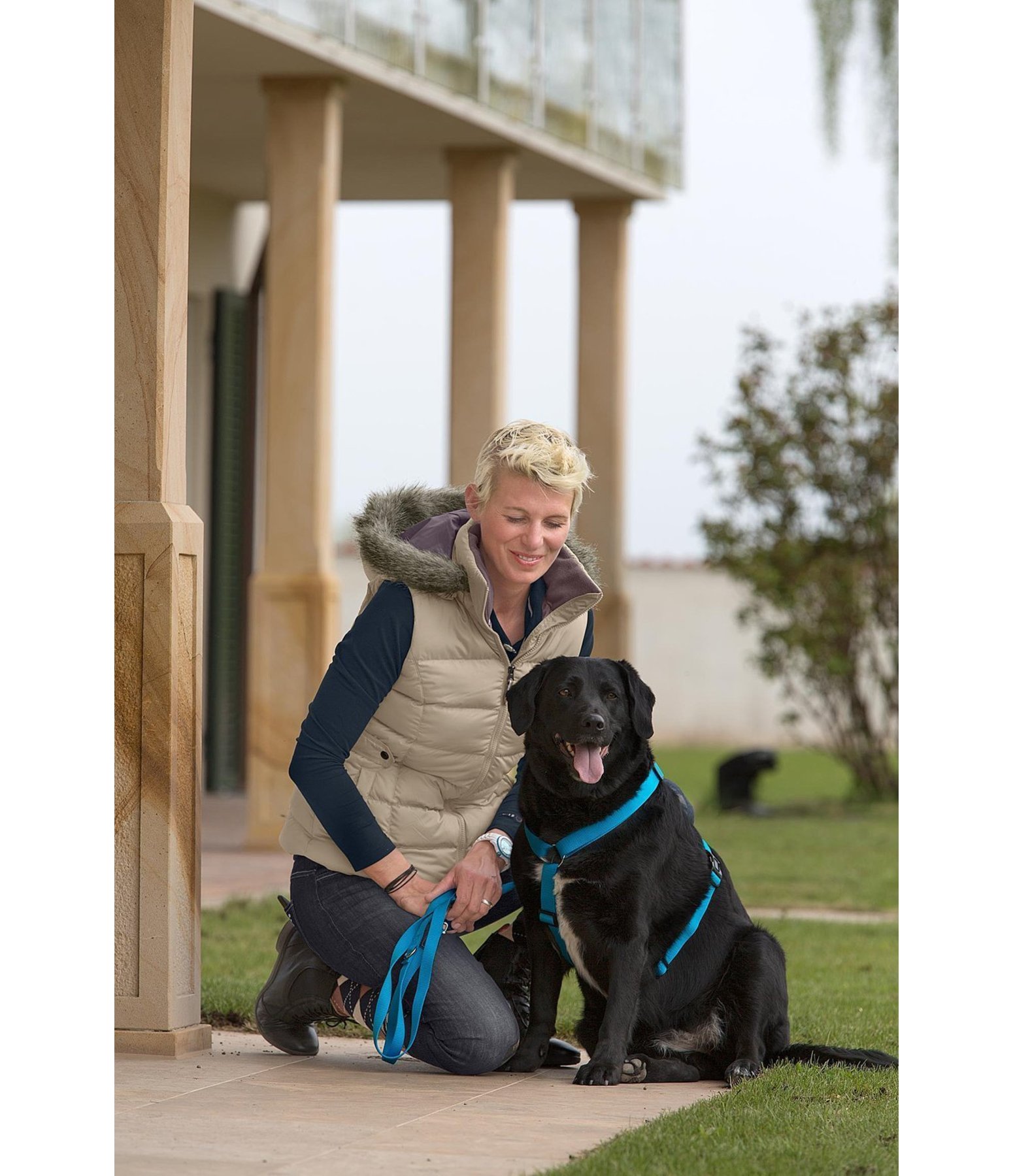 Hundegeschirr Jerry