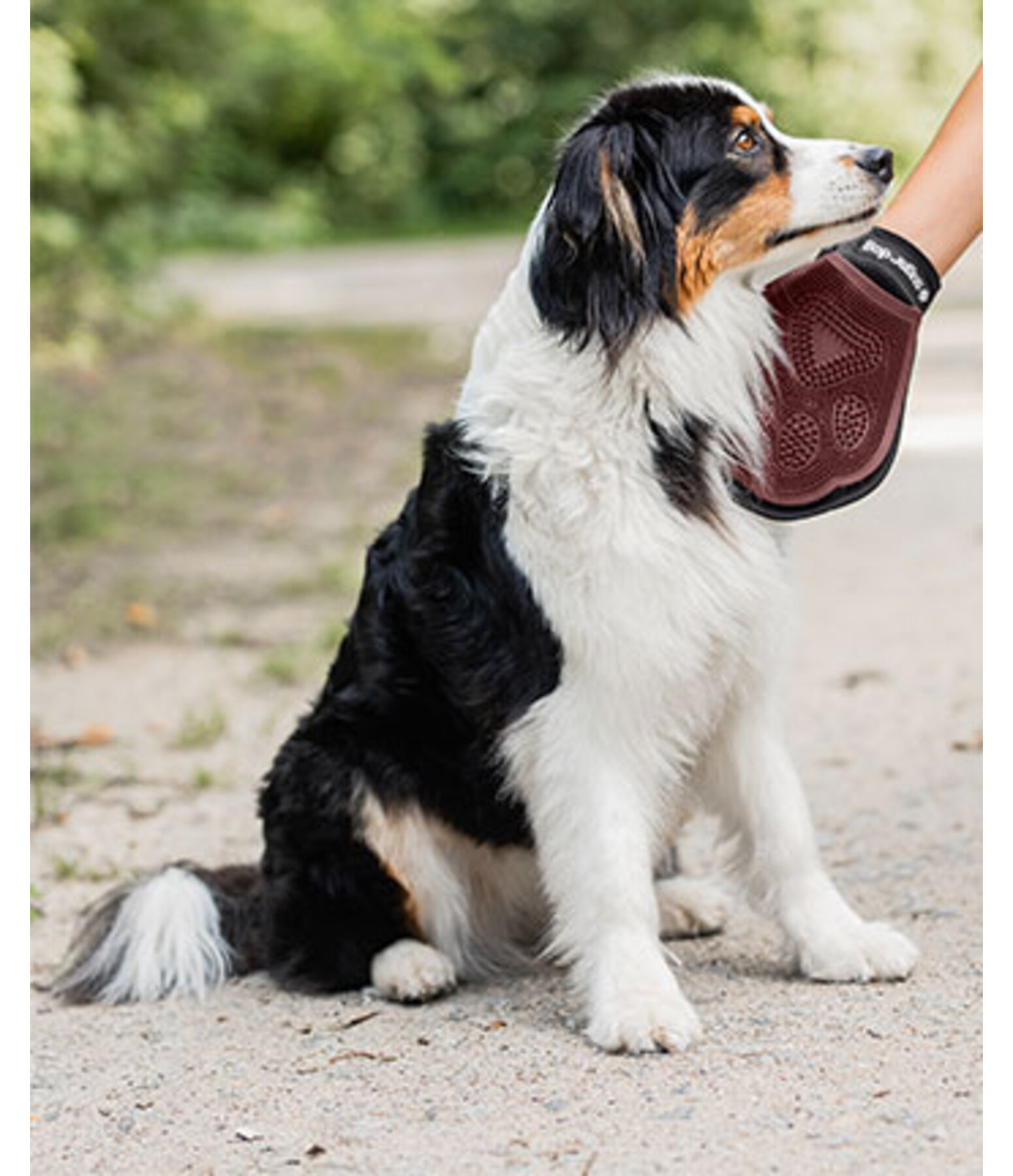 Massage- und Pflegehandschuh für Hunde