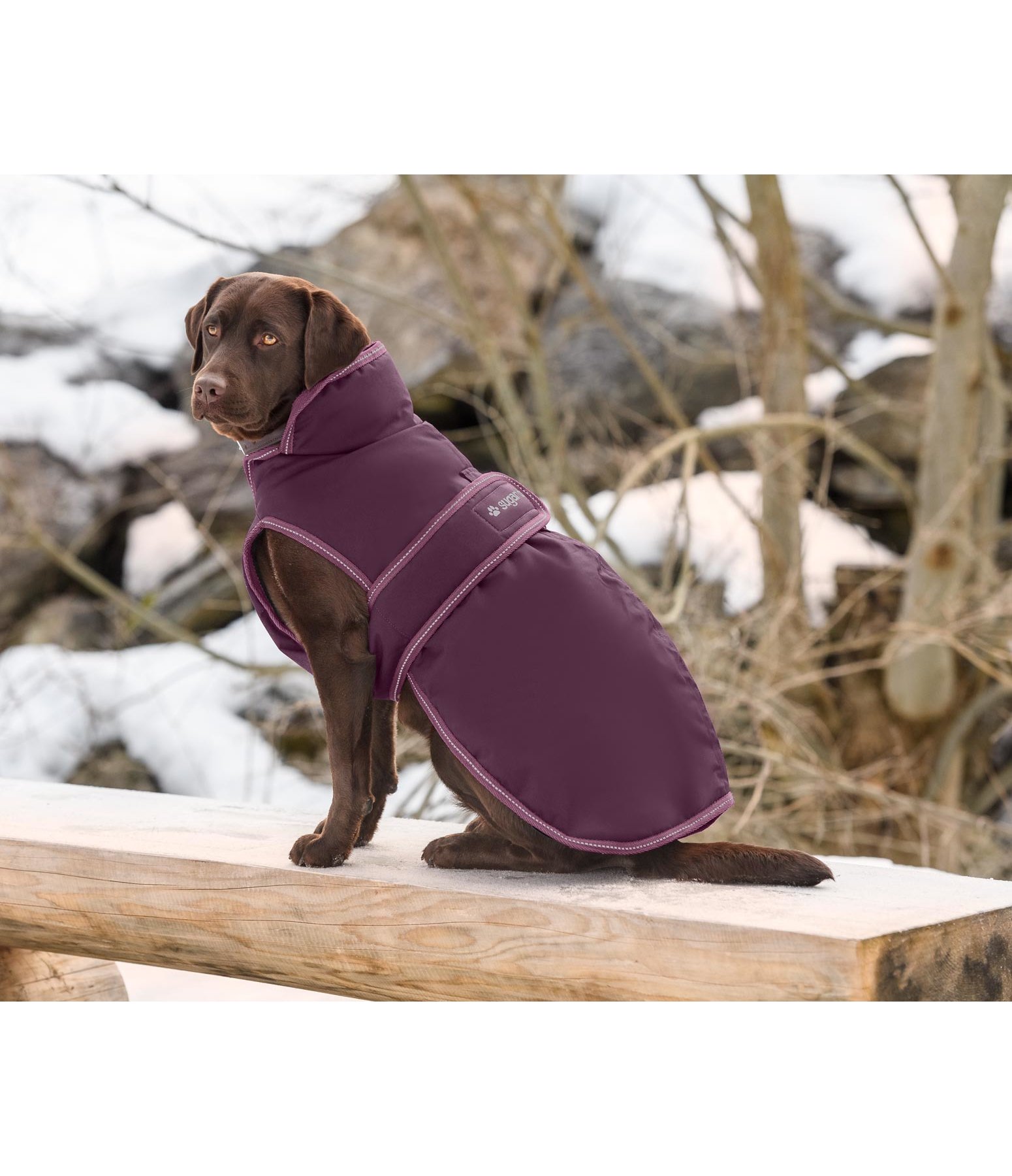 Hunde Wintermantel Eddie mit Fleeceinnenfutter, 200 g