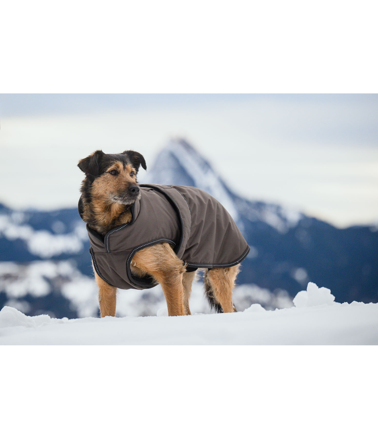 Hunde Wintermantel Eddie mit Fleeceinnenfutter, 200 g
