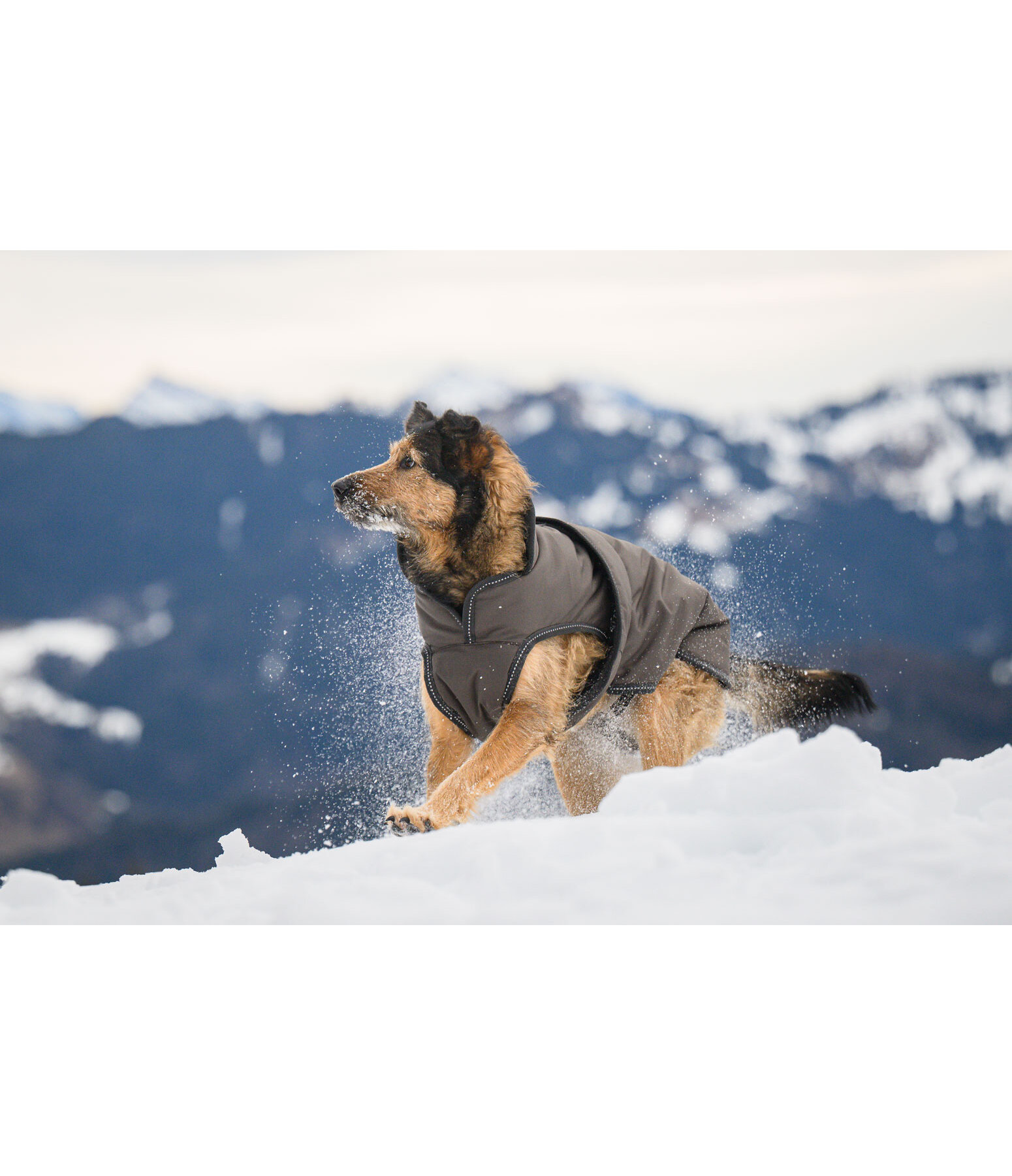 Hunde Wintermantel Eddie mit Fleeceinnenfutter, 200 g