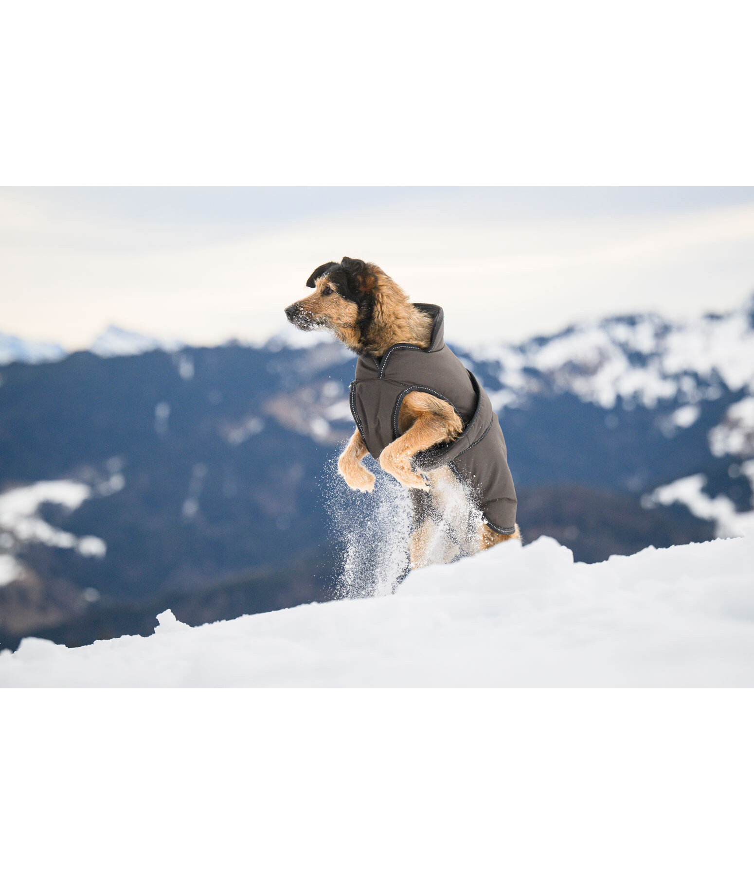 Hunde Wintermantel Eddie mit Fleeceinnenfutter, 200 g