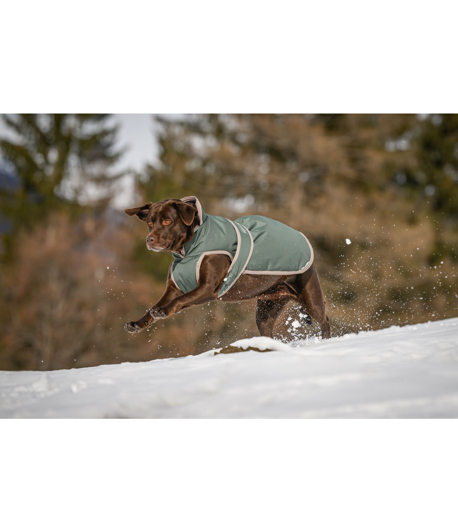 Hunde Wintermantel Eddie mit Fleeceinnenfutter, 200 g