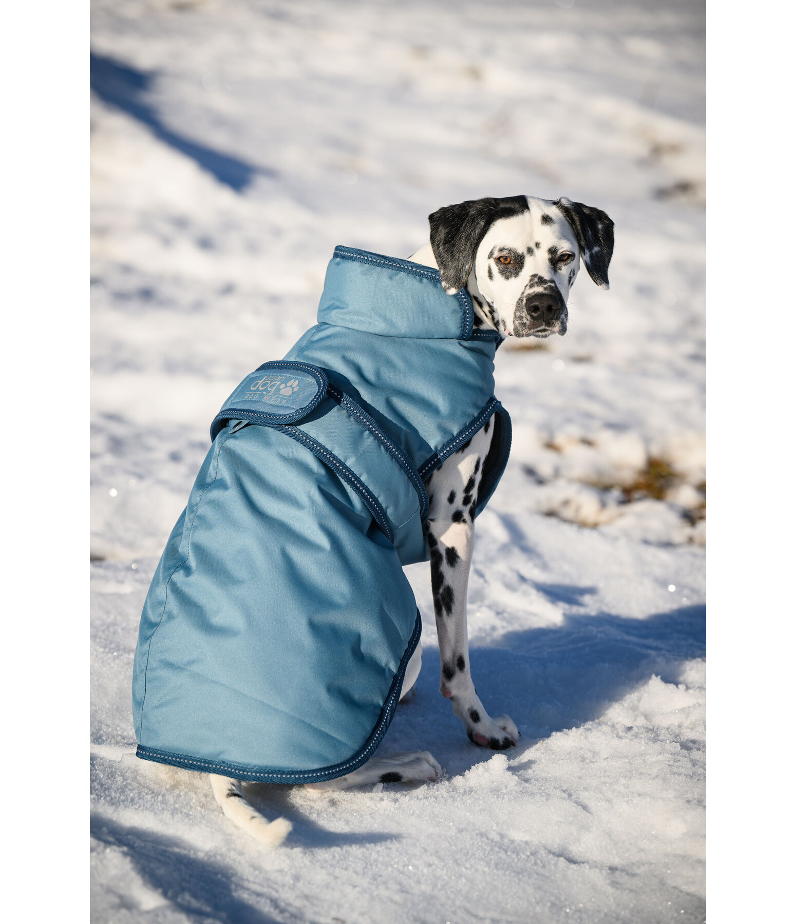 Hunde Wintermantel Eddie mit Fleeceinnenfutter, 200 g