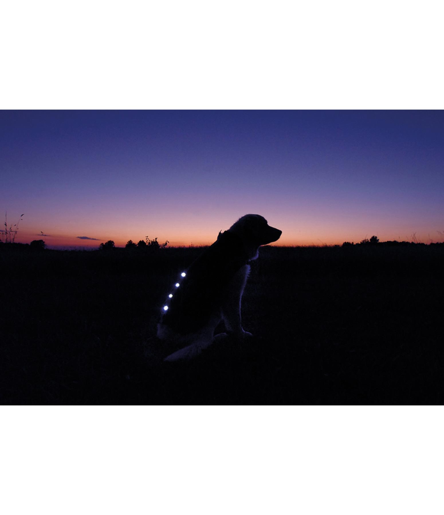 Hunde Leuchtwintermantel mit Hochleistungs-LED by DogBite