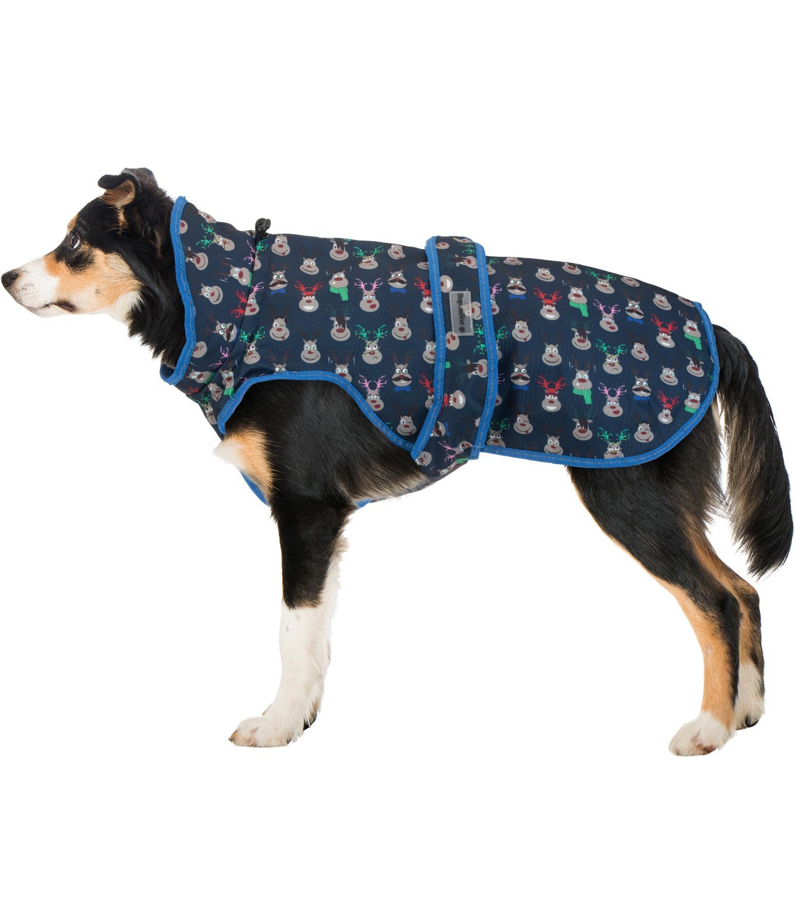 Hunde Wintermantel Rudi 100 g