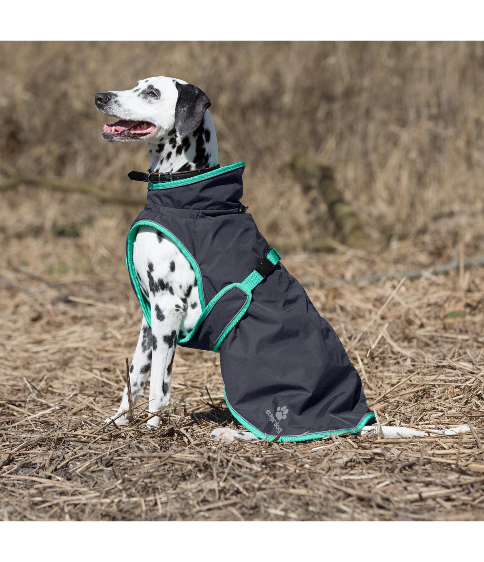 Hunde Regenmantel Elvira mit Fleeceinnenfutter Hundejacken &amp; mäntel