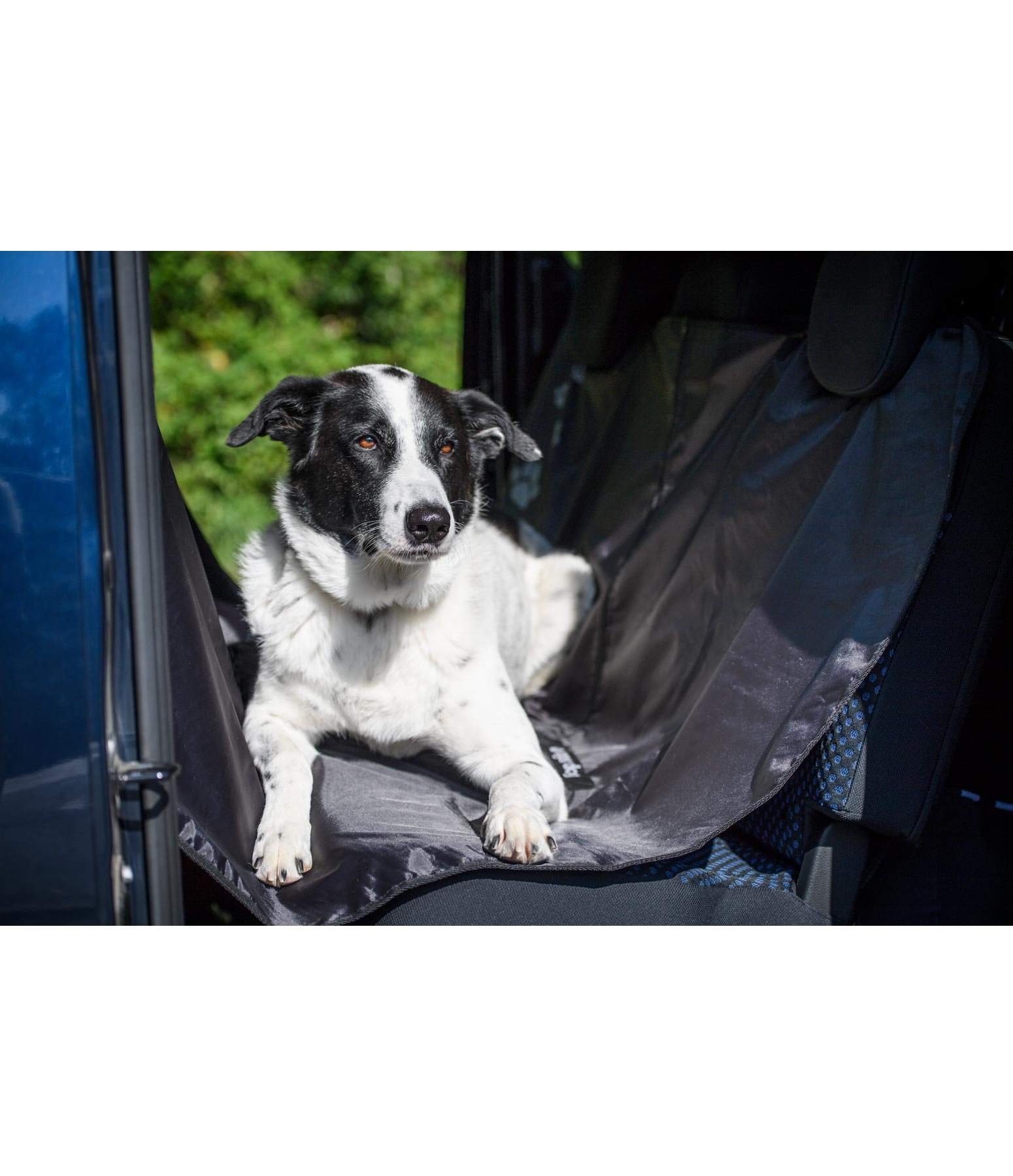 Autoschondecke für Hunde