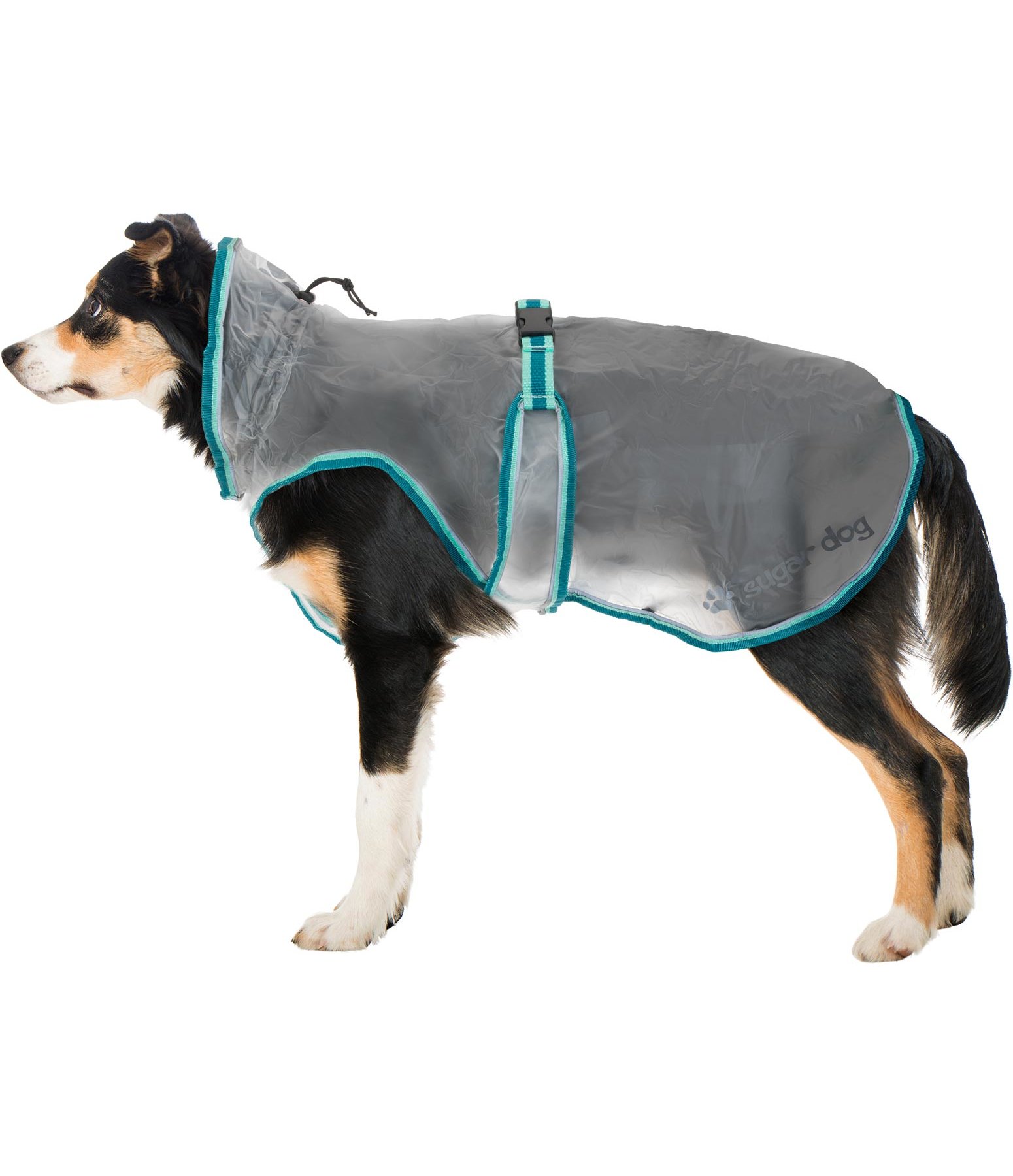Hunde Regencape aus PVC Hund unterwegs Krämer Pferdesport