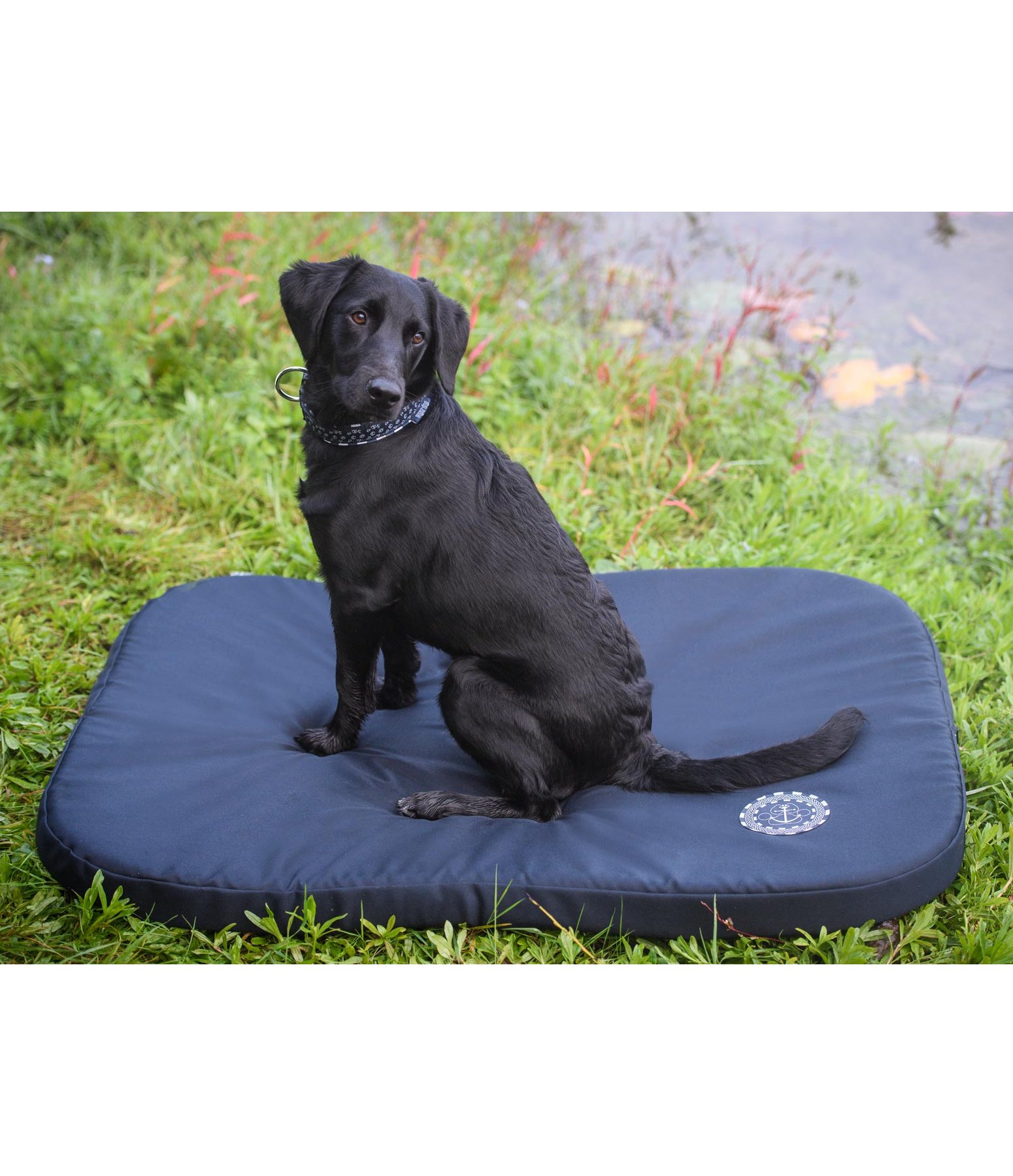 hunde liegematte