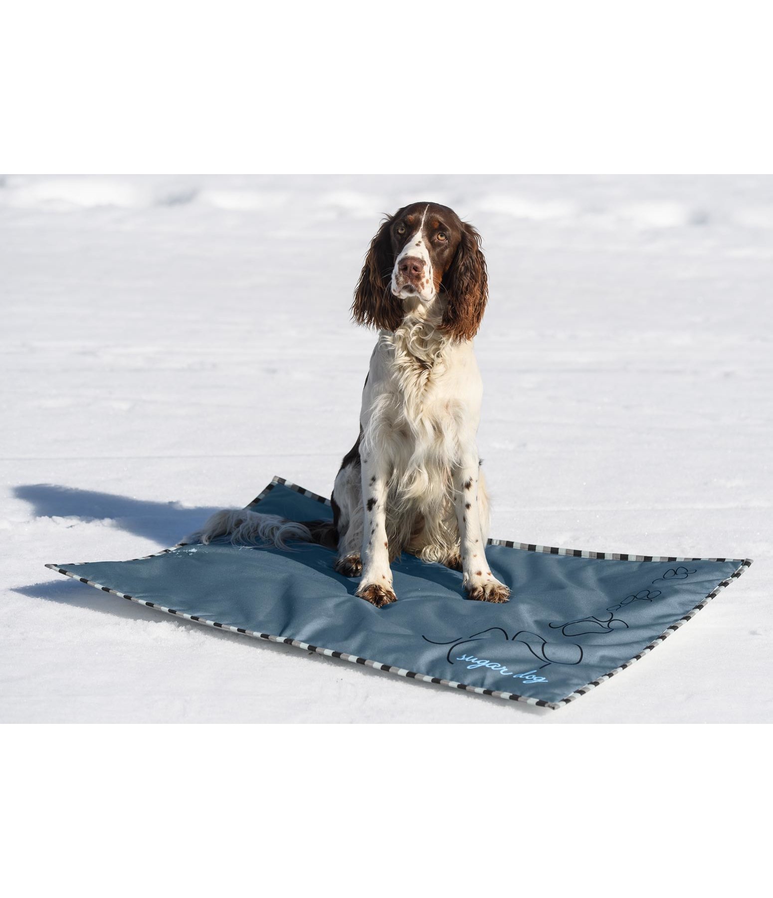 Outdoor-Liegedecke mit Thermo-Unterseite Frosty