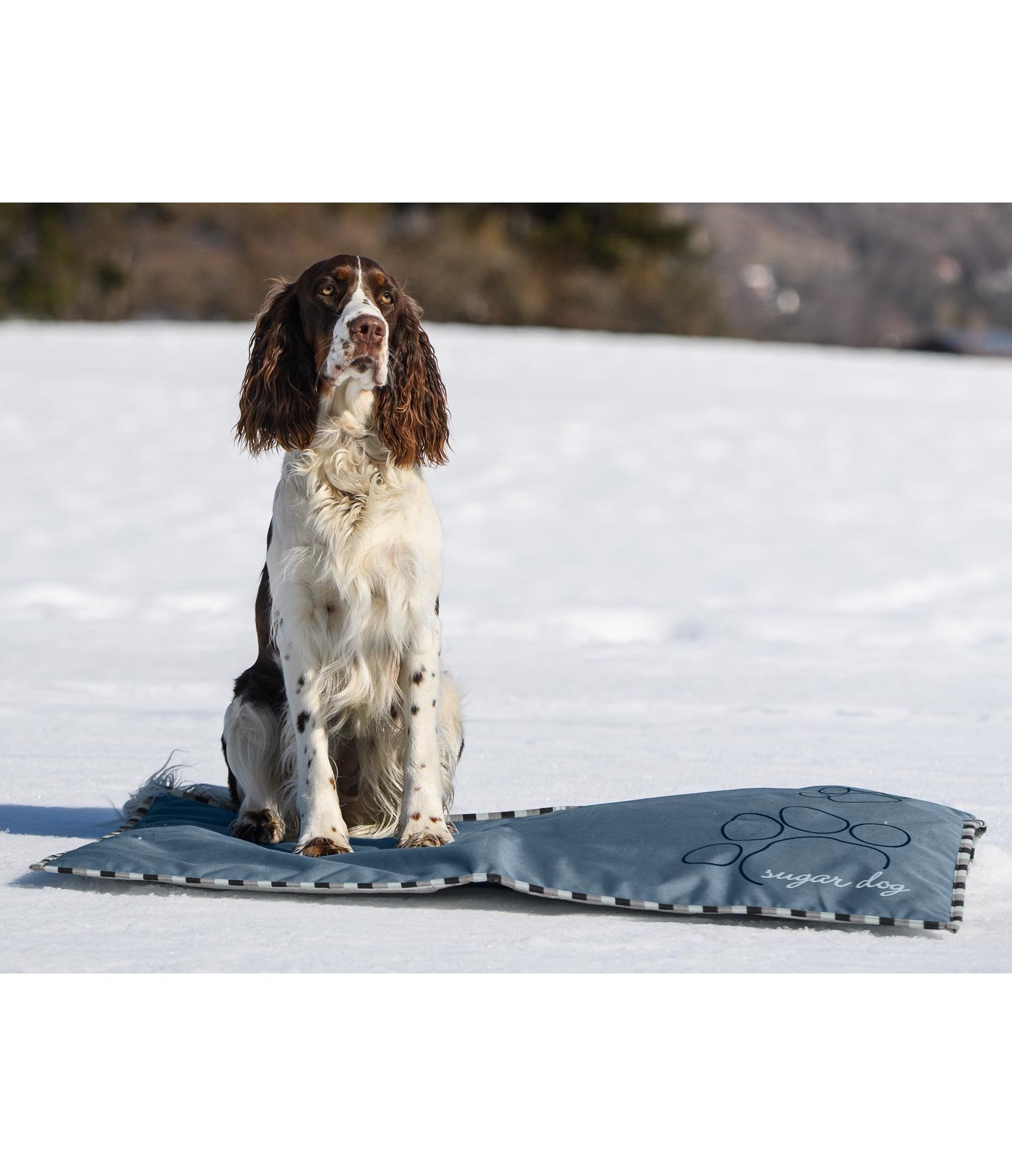 Outdoor-Liegedecke mit Thermo-Unterseite Frosty