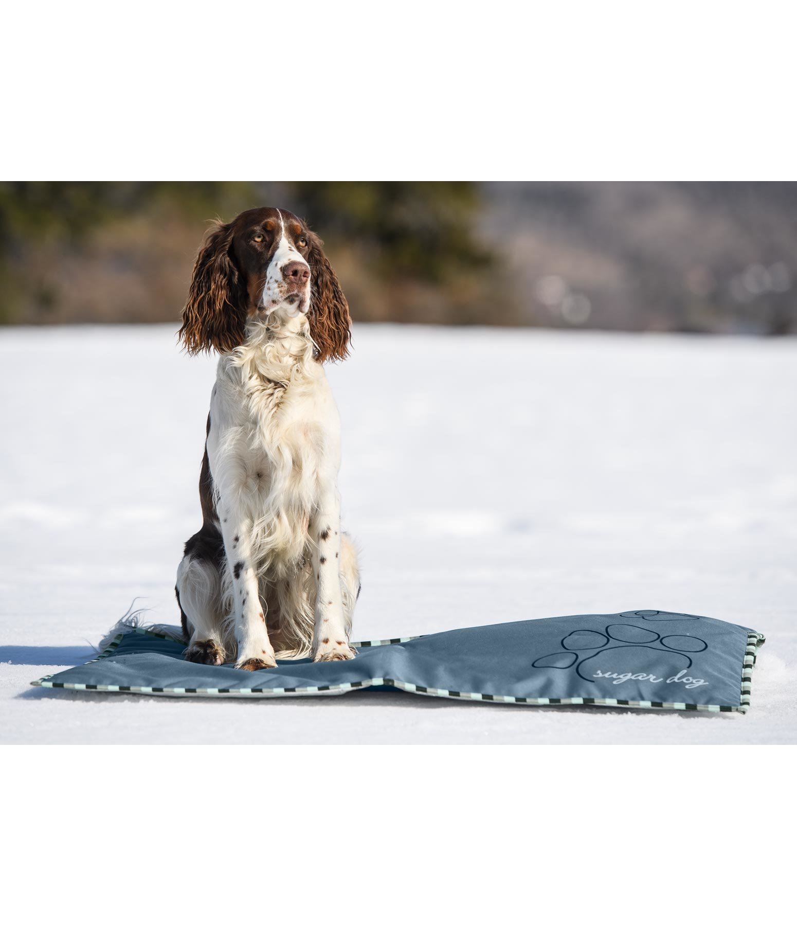 Outdoor-Liegedecke mit Thermo-Unterseite Frosty