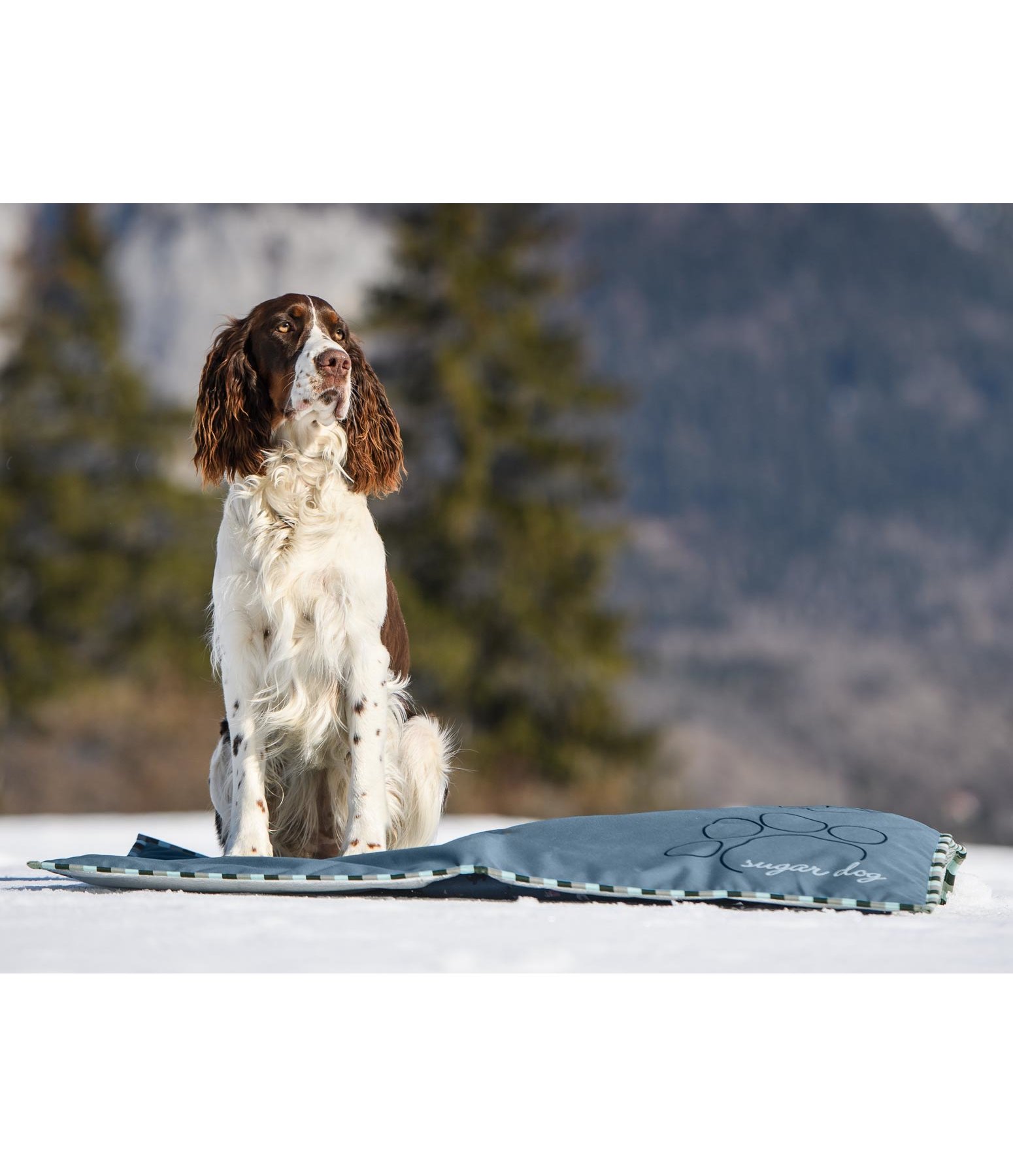 Outdoor-Liegedecke mit Thermo-Unterseite Frosty
