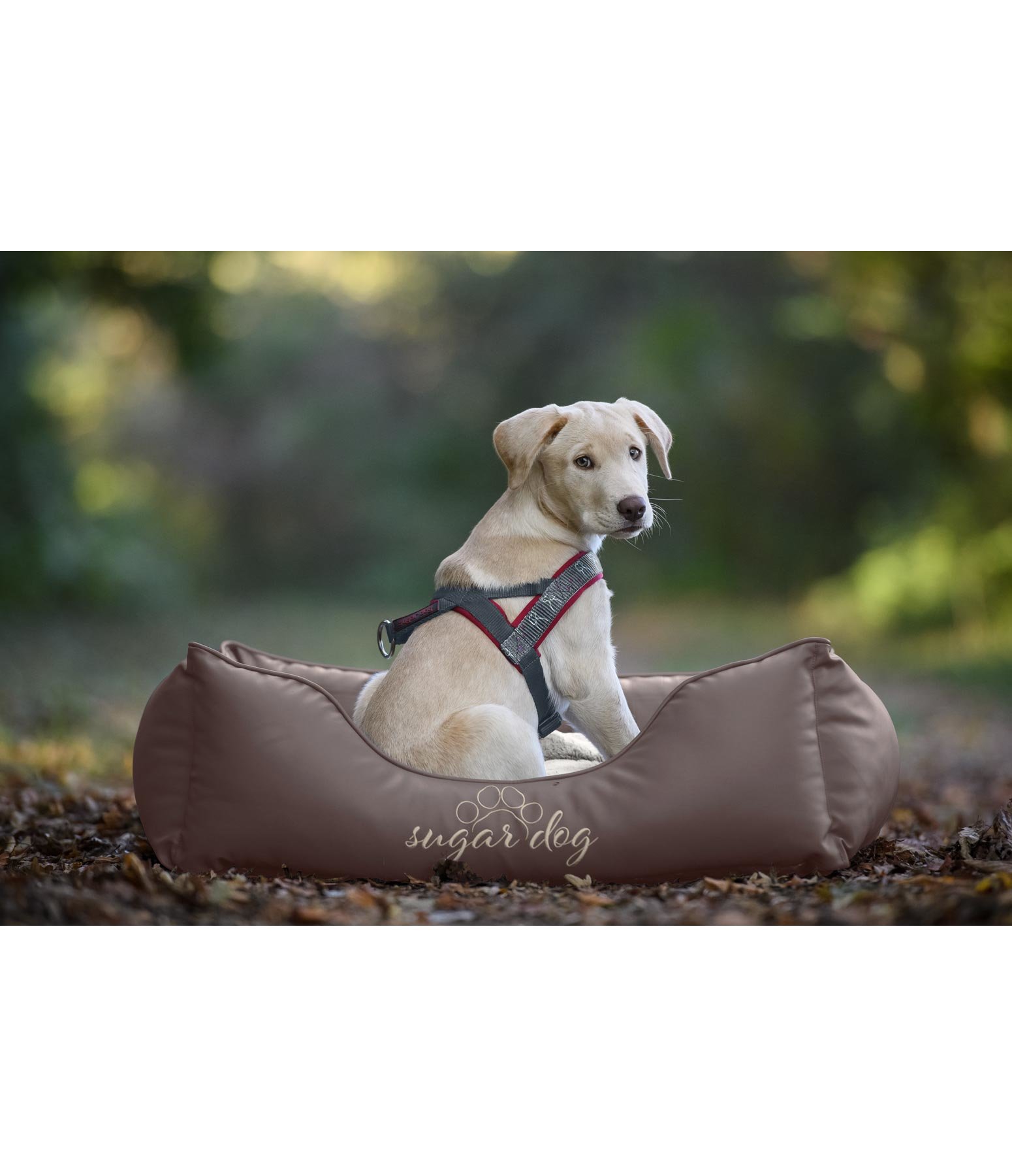 Kunstleder-Hundebett Milon
