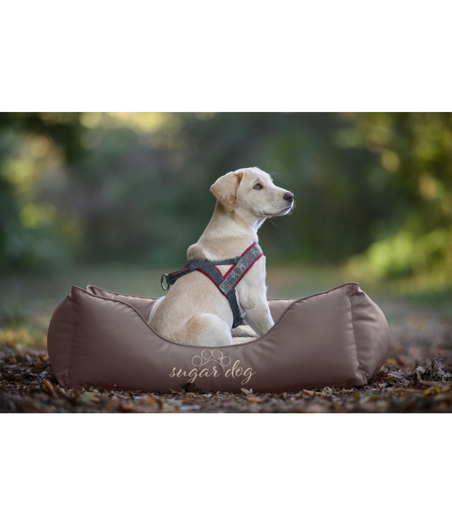 Kunstleder-Hundebett Milon