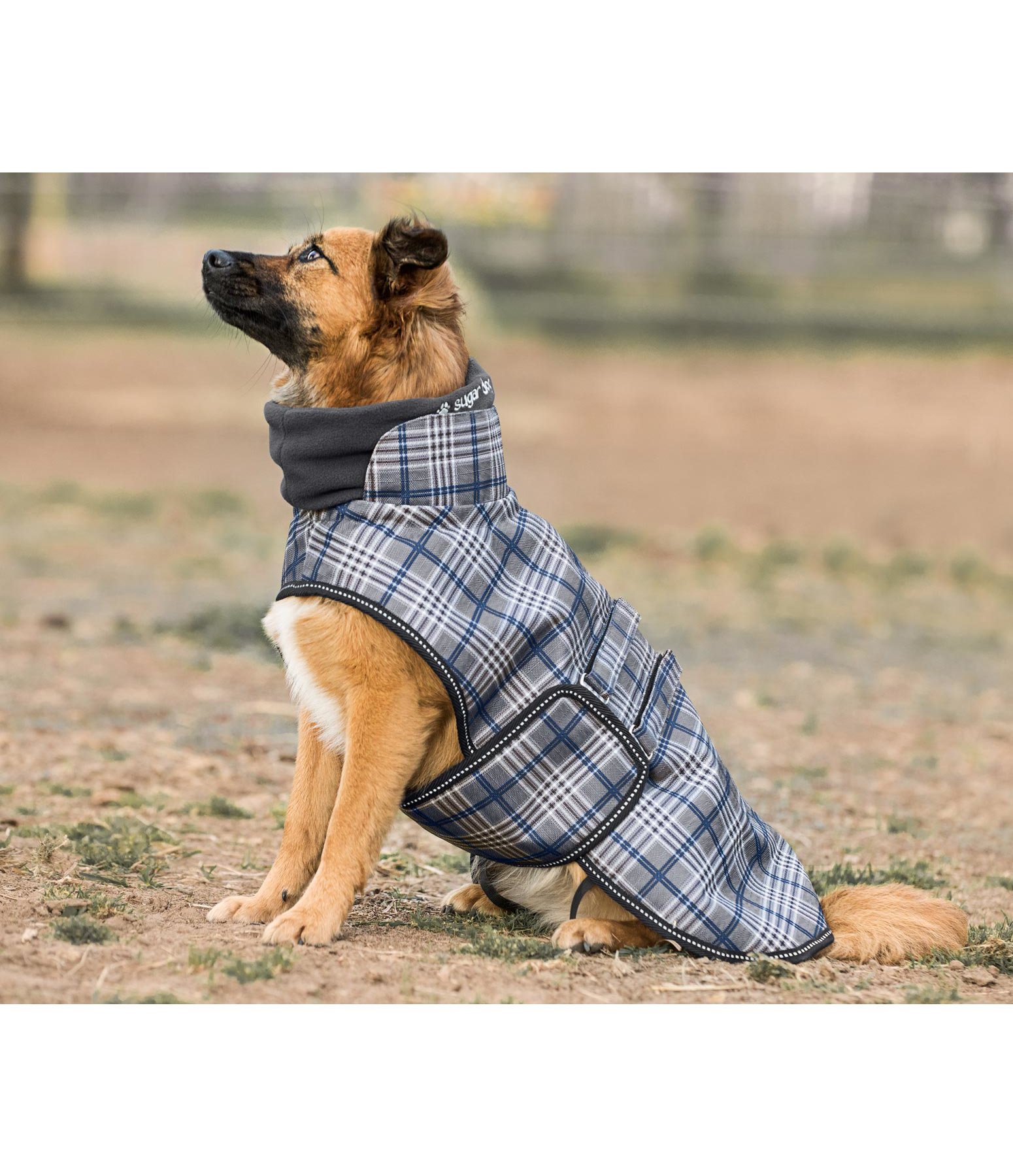 Hunde Wintermantel Pepe mit Fleecekragen, 60 g