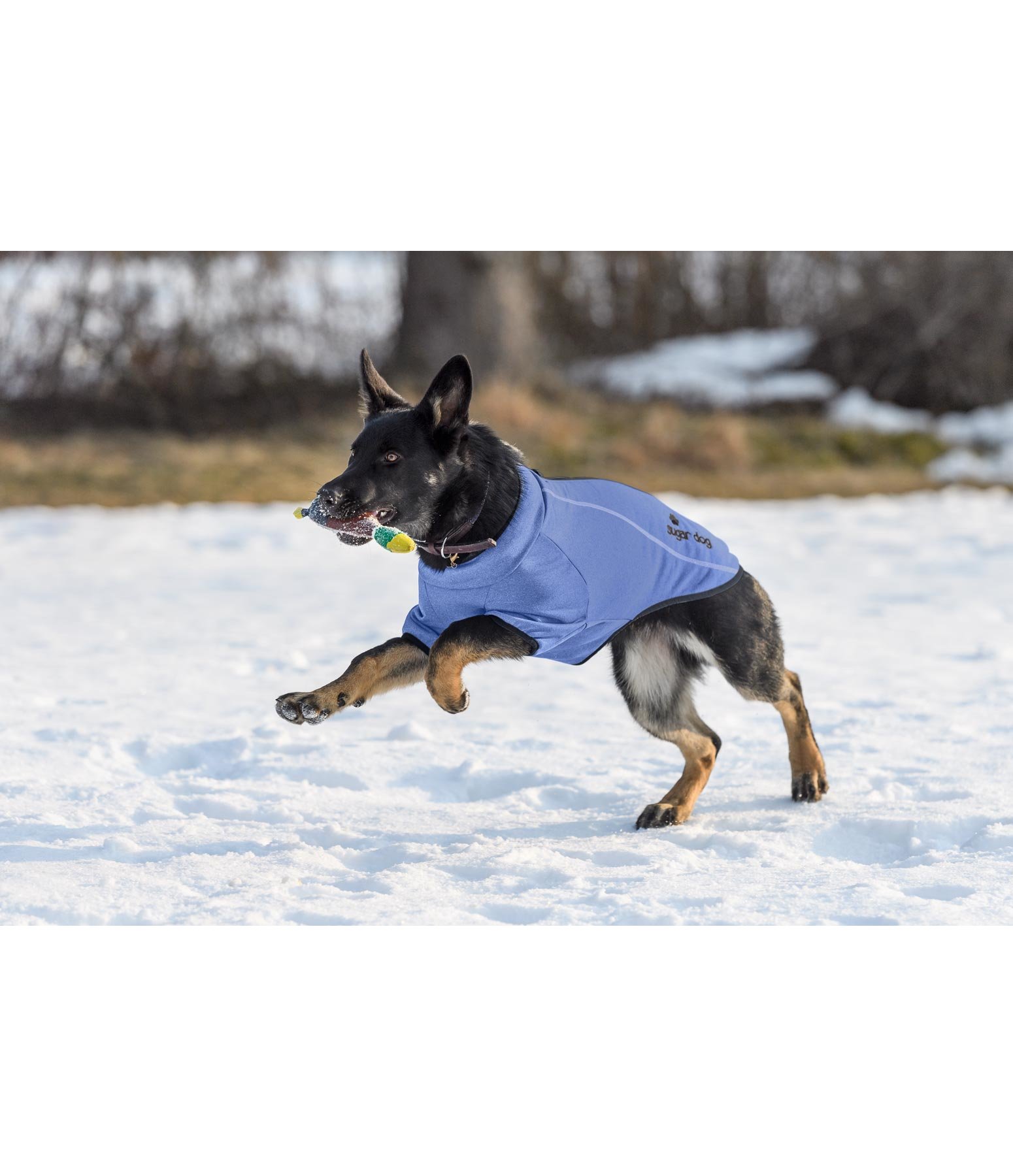 Strickfleece-Hundejacke Kelvin