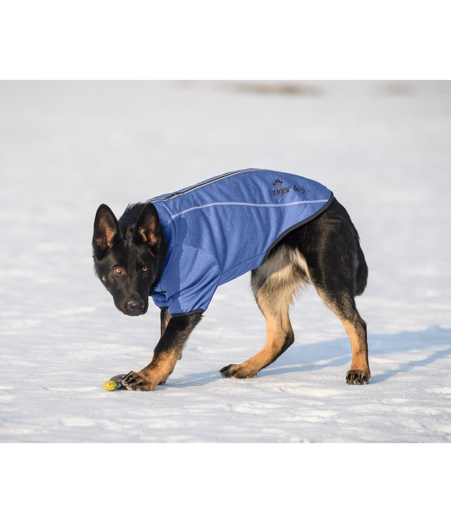 Strickfleece-Hundejacke Kelvin