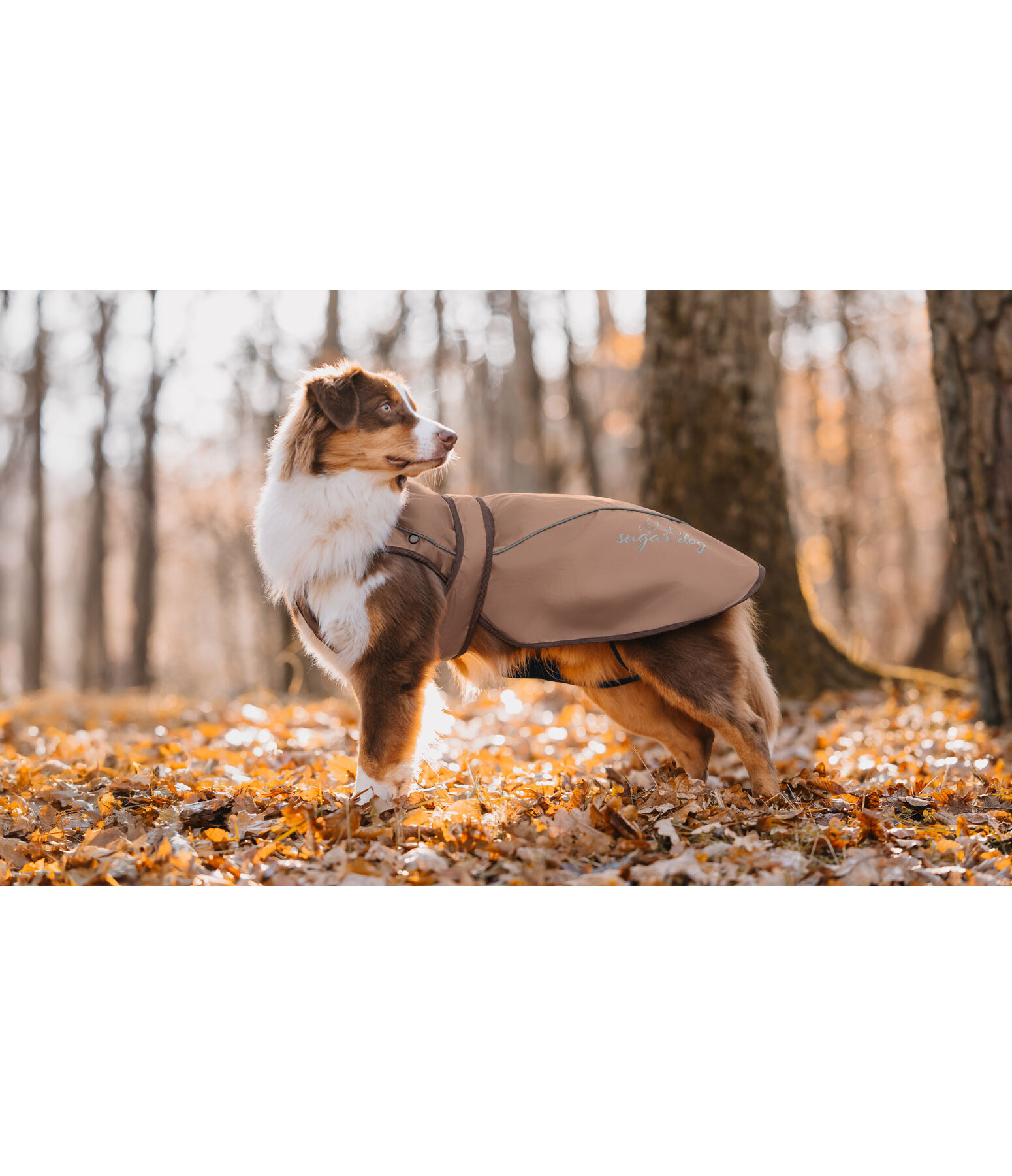 2 in 1 Nylon-Hundemantel Ally