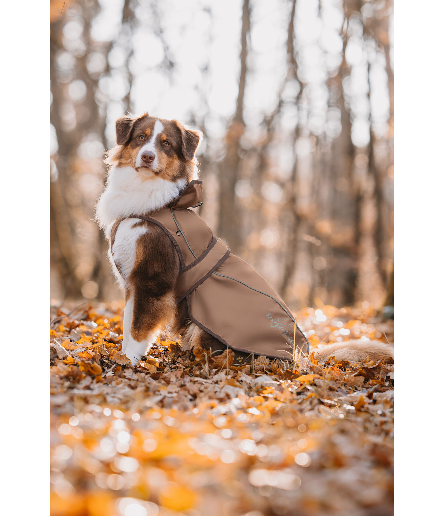 2 in 1 Nylon-Hundemantel Ally