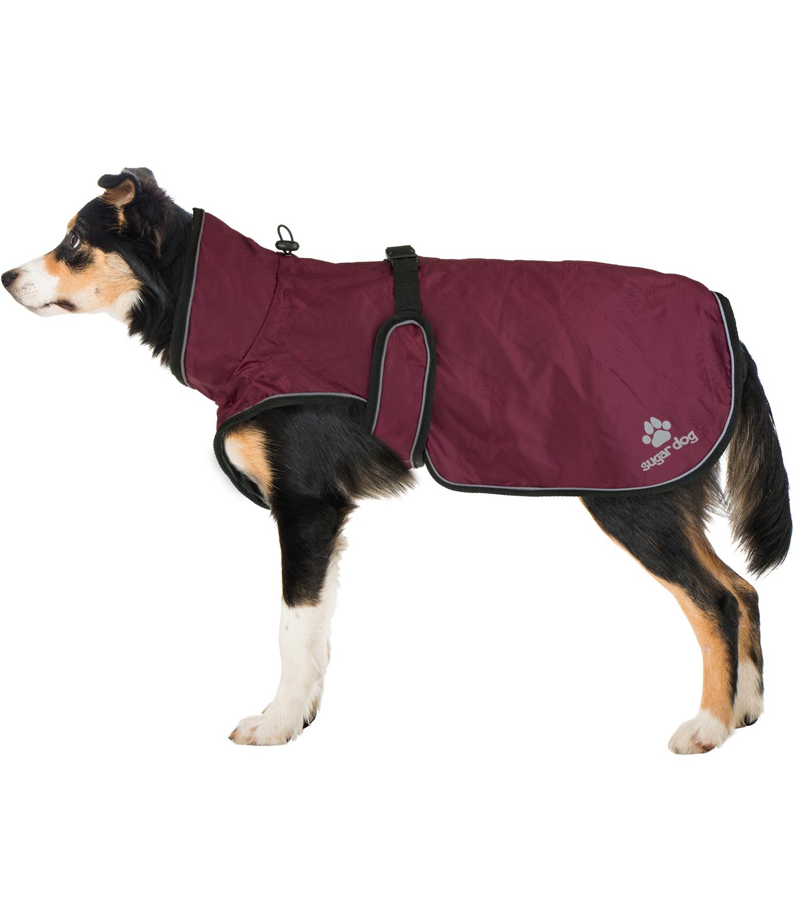 Hundemantel Eldoro II