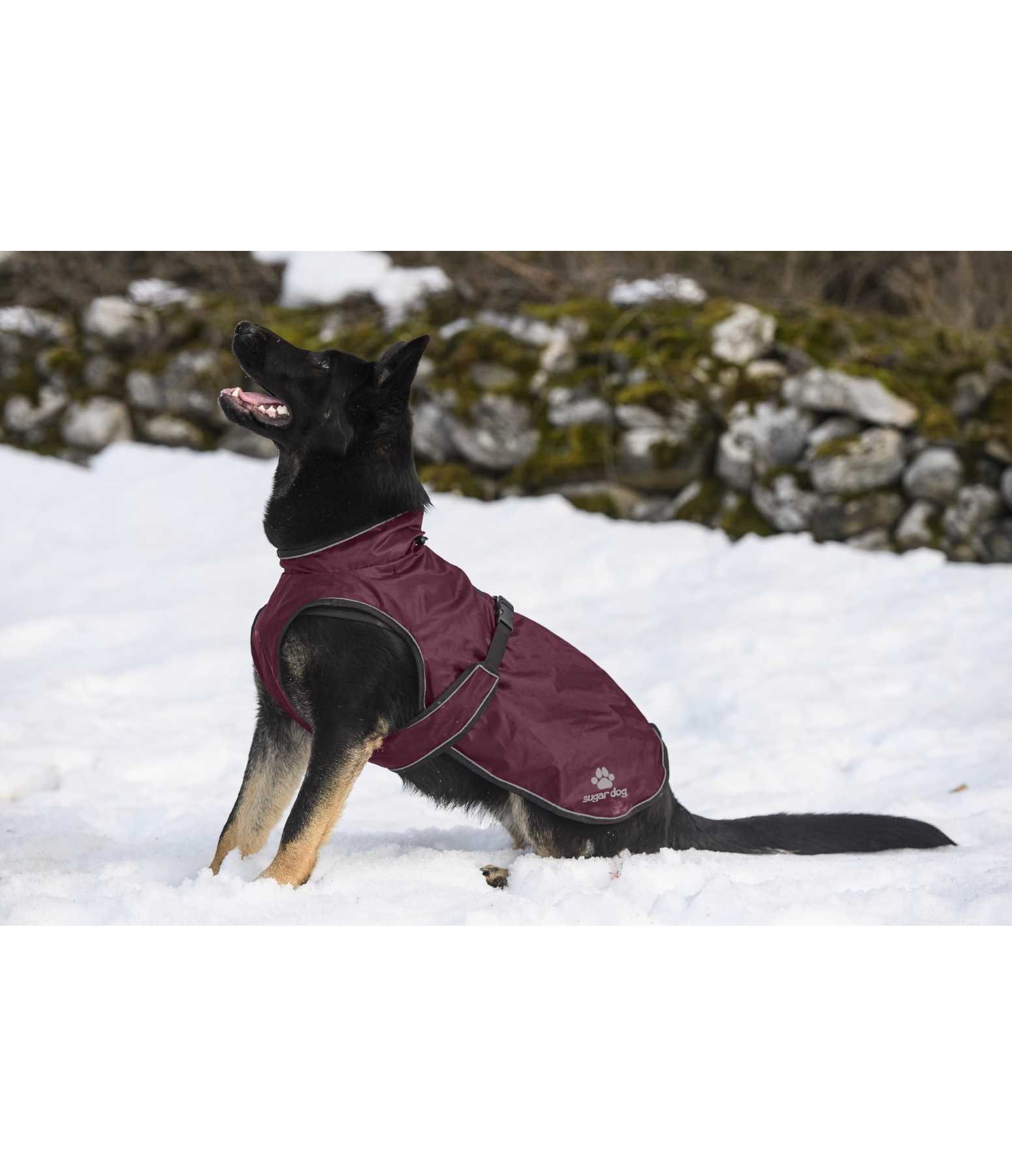Hundemantel Eldoro II