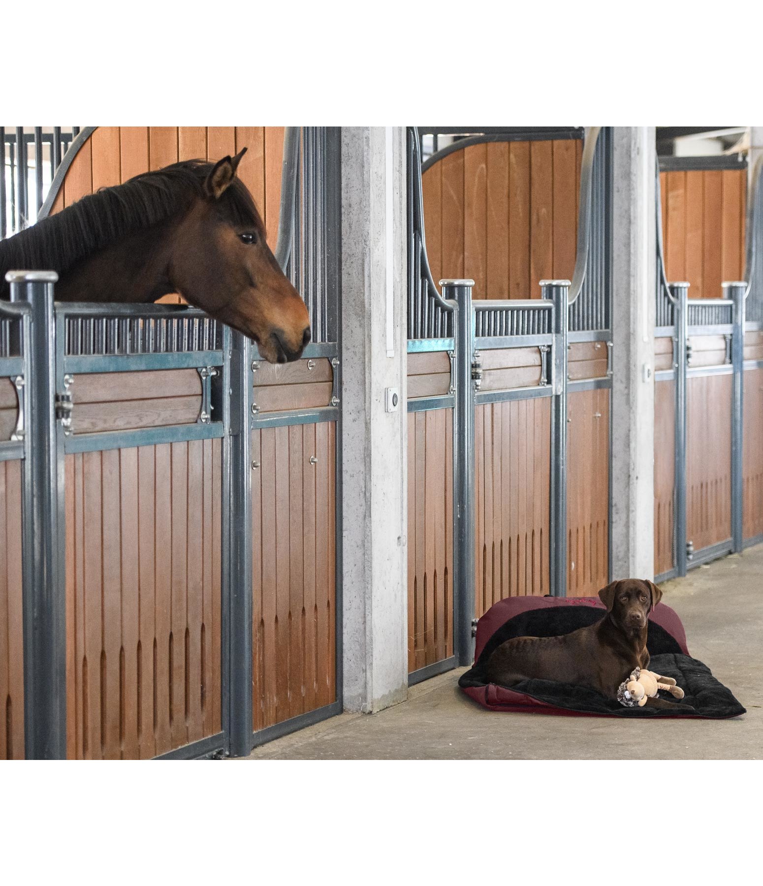 Hunde Schlafsack Sirius