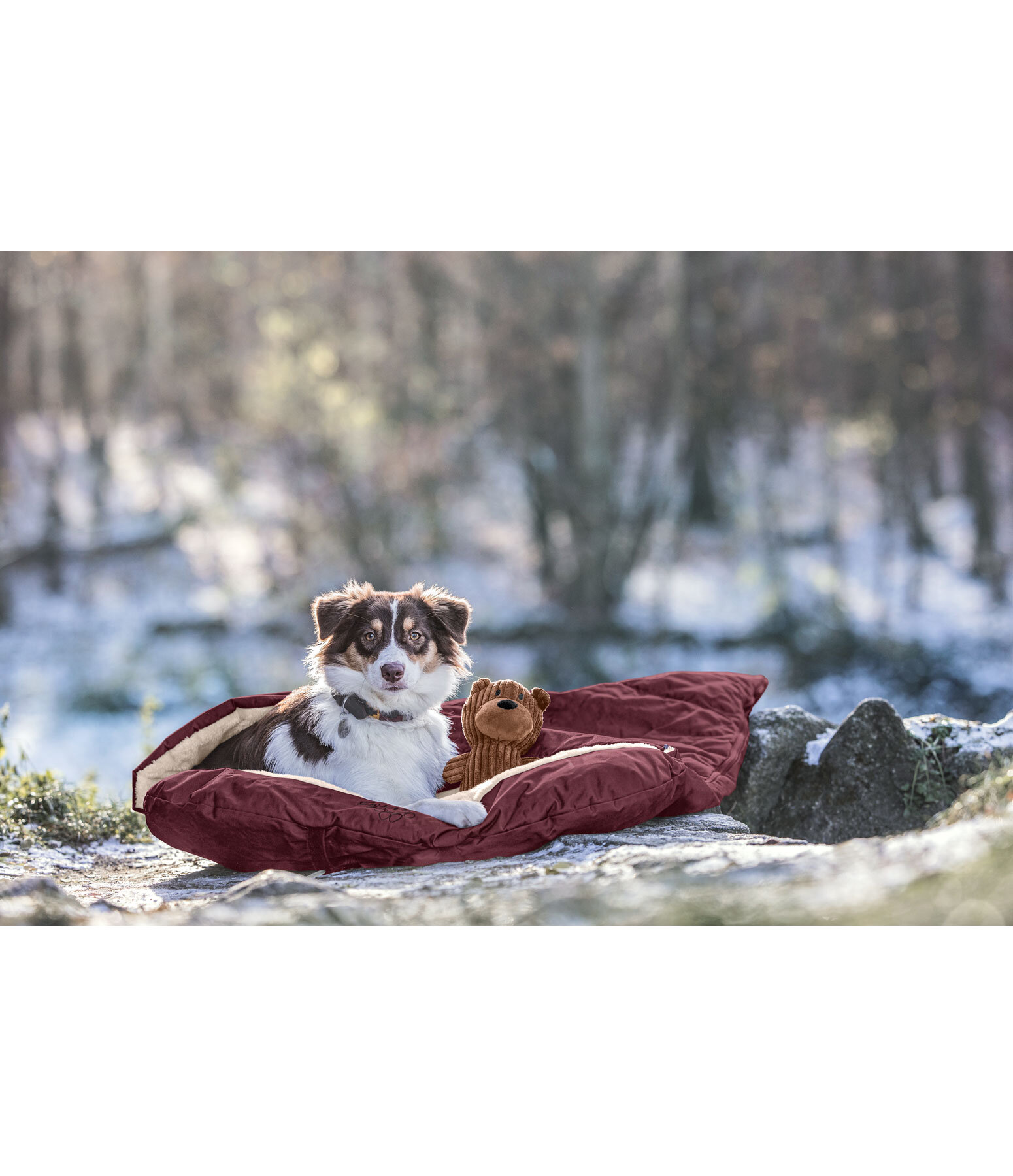 Hunde-Schlafsack Sirius