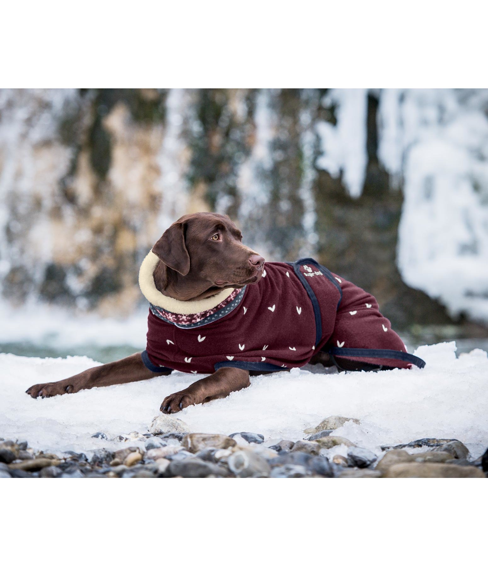 Fleece-Hundemantel Little Norway