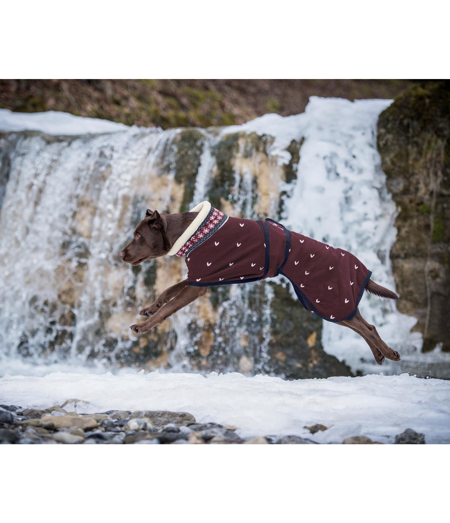 Fleece-Hundemantel Little Norway