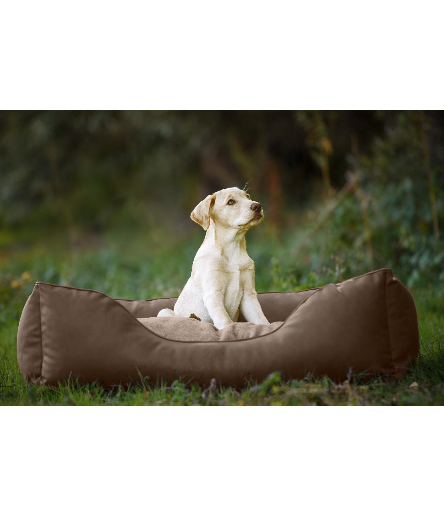 Kunstleder-Hundebett Ethan