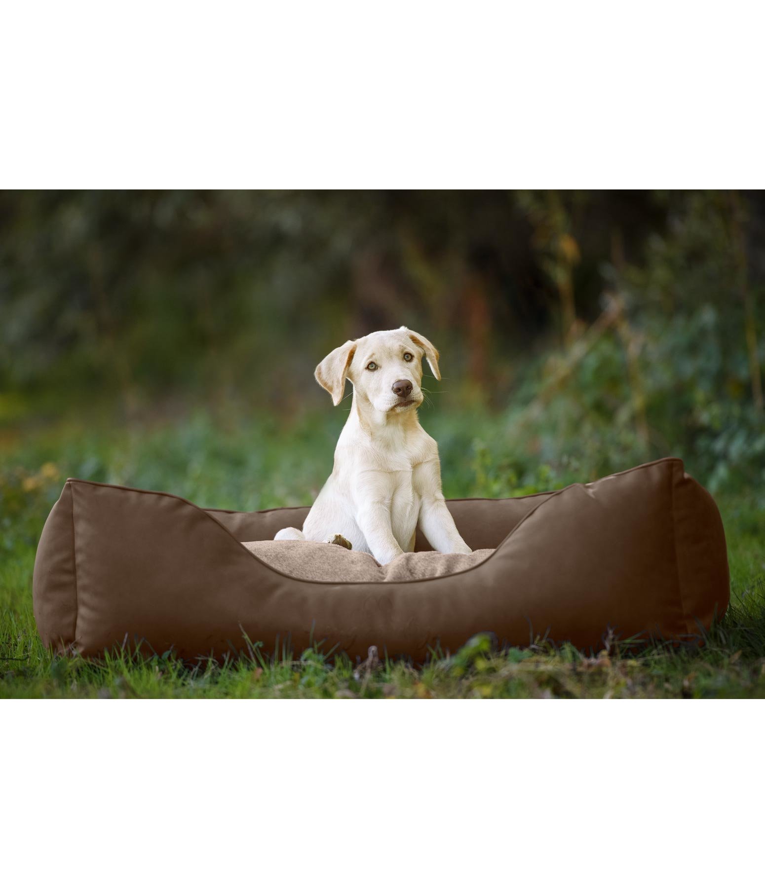 Kunstleder-Hundebett Ethan