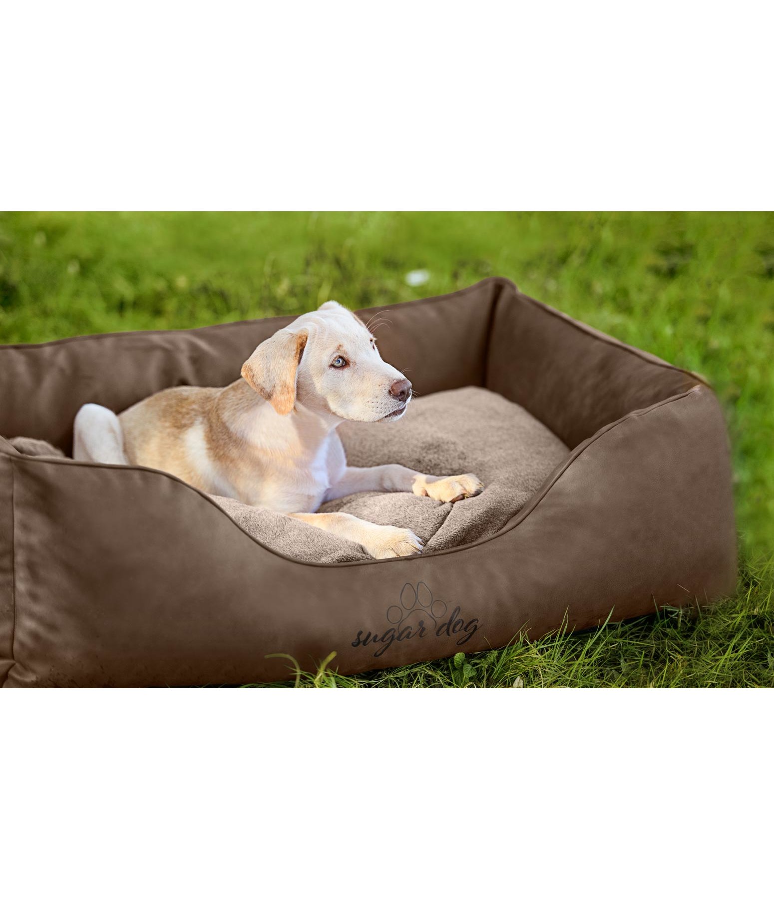 Kunstleder-Hundebett Ethan