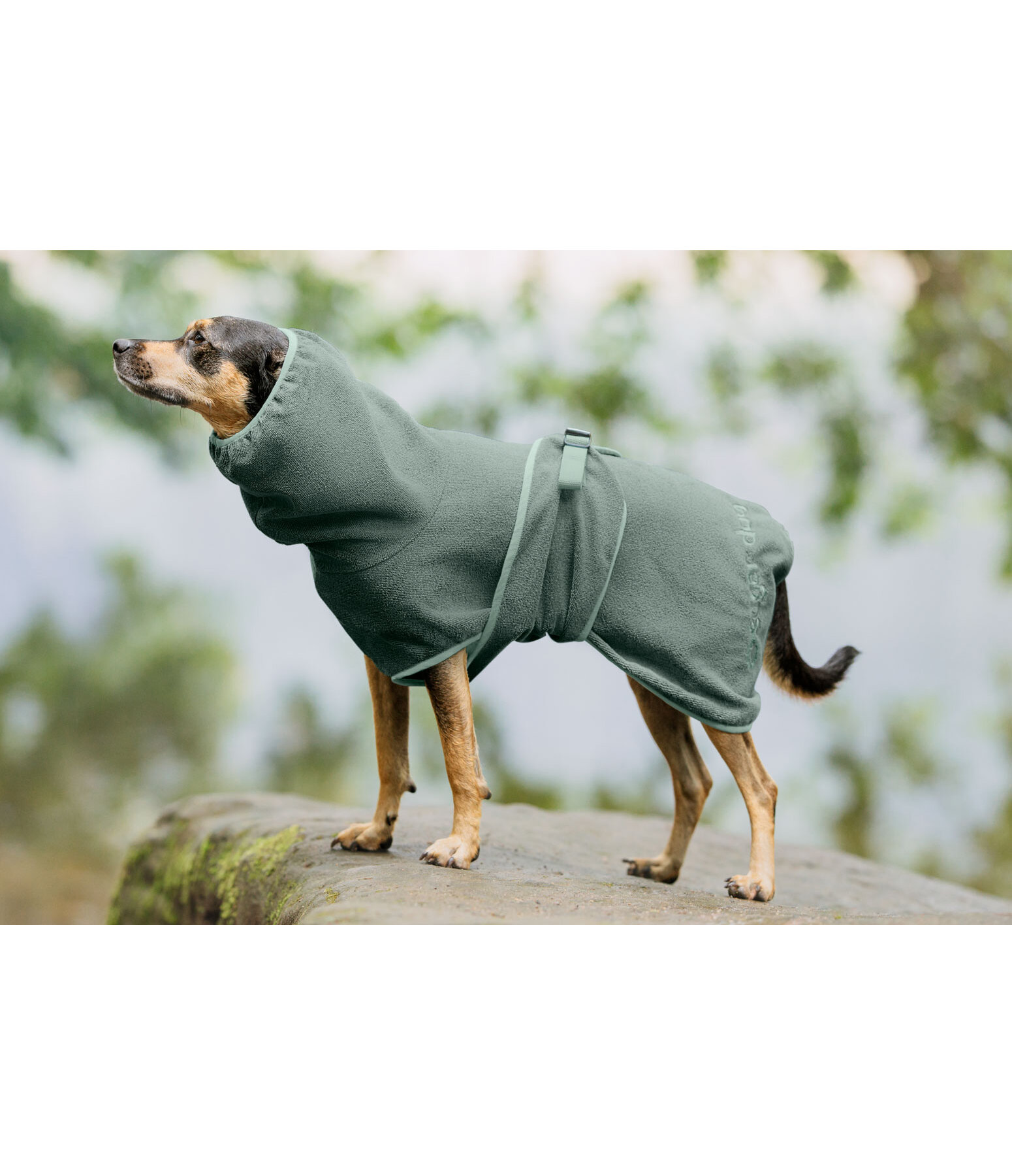 Hunde-Trocknungscape Dry Dog II